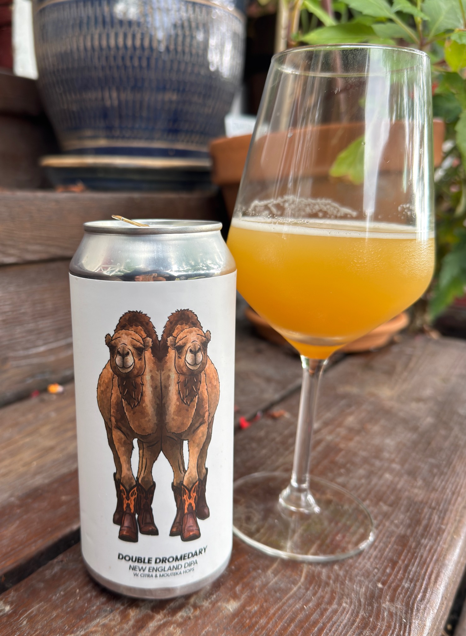 Double Dromedary, Brewski