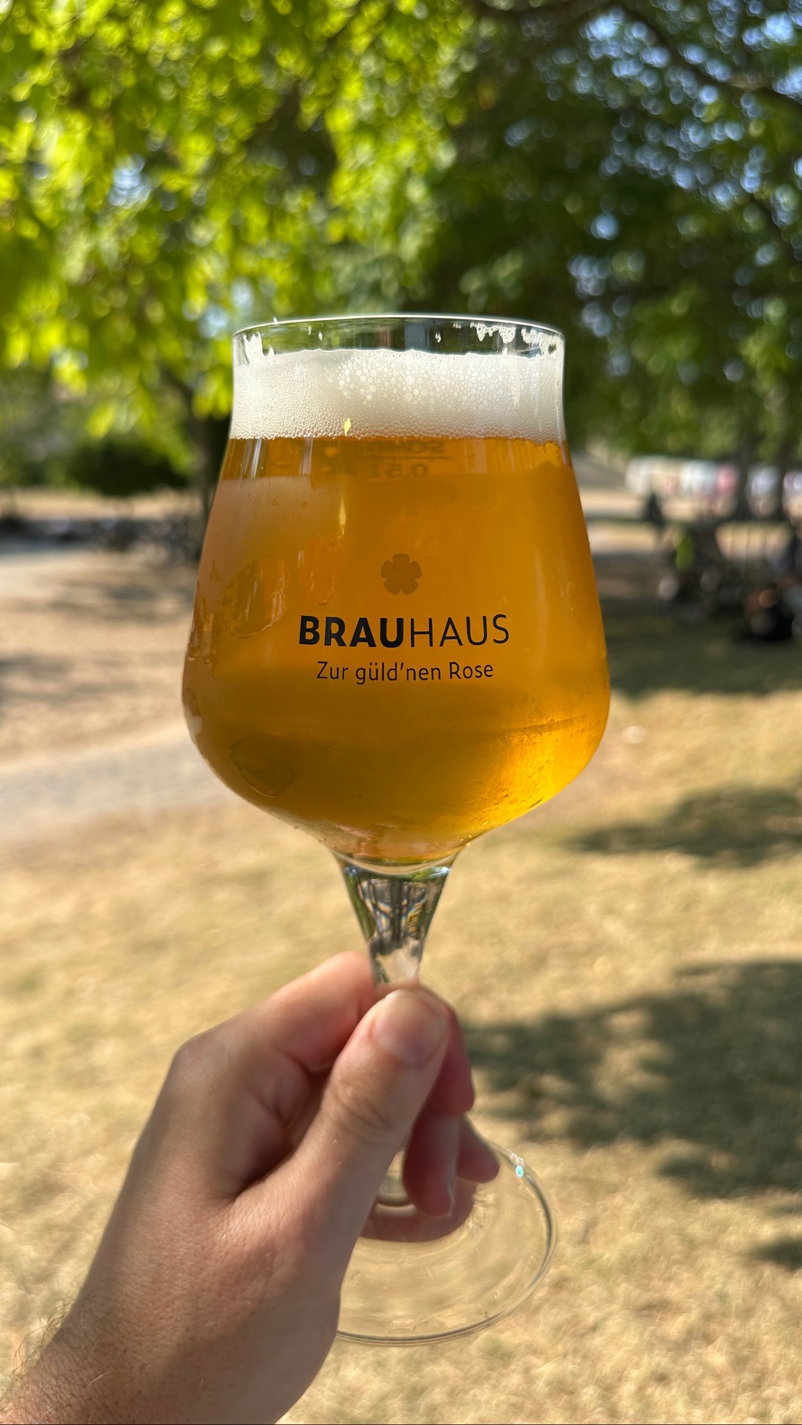 Brauhaus Zur güld'nen Rose Pils, Brauhaus Zur güld'nen Rose