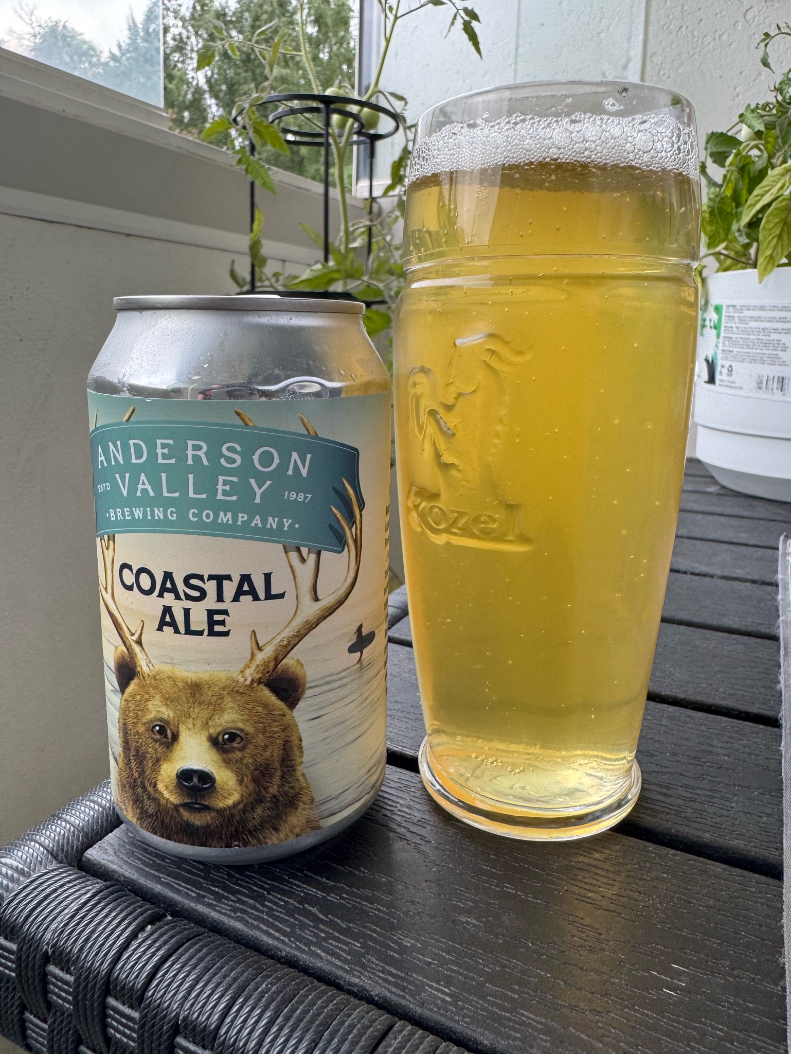 Coastal ale, Anderson Valley