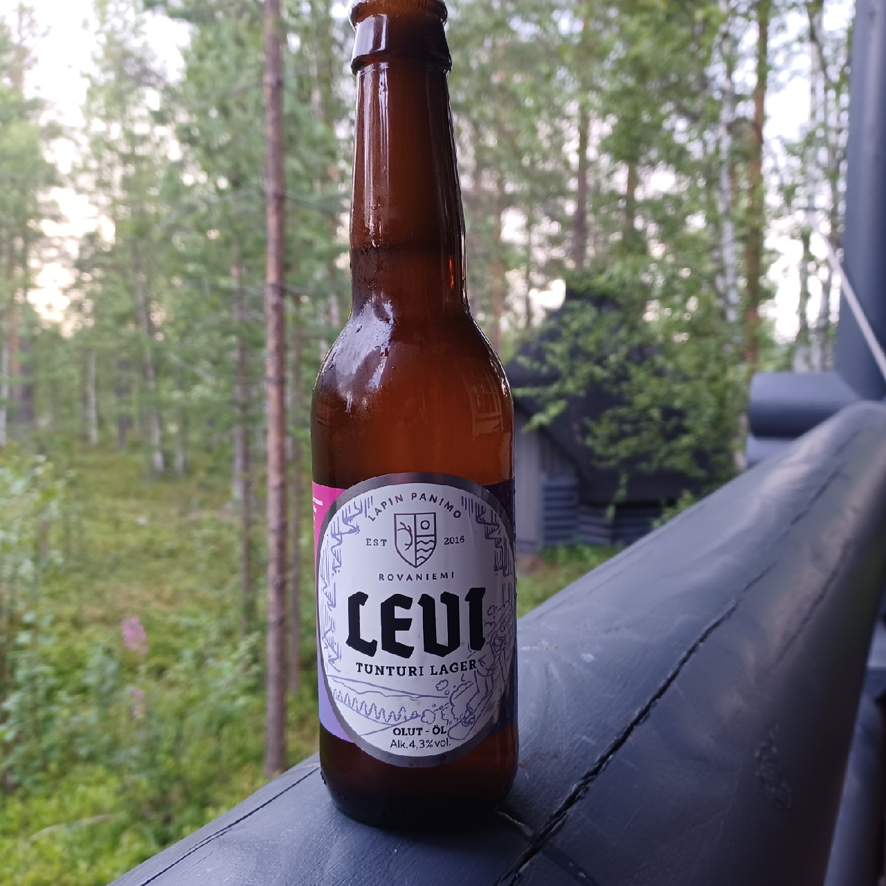 Levi Tunturi Lager, Lapin Panimo