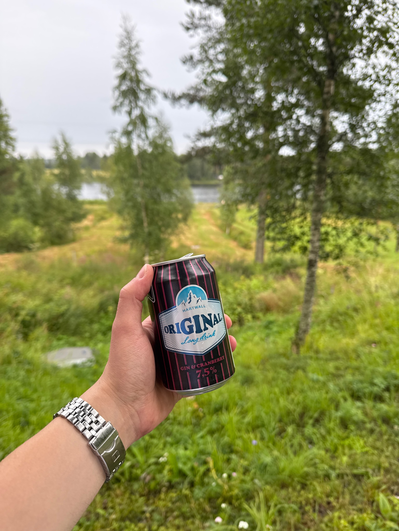 Original Long Drink Strong Cranberry, Finland