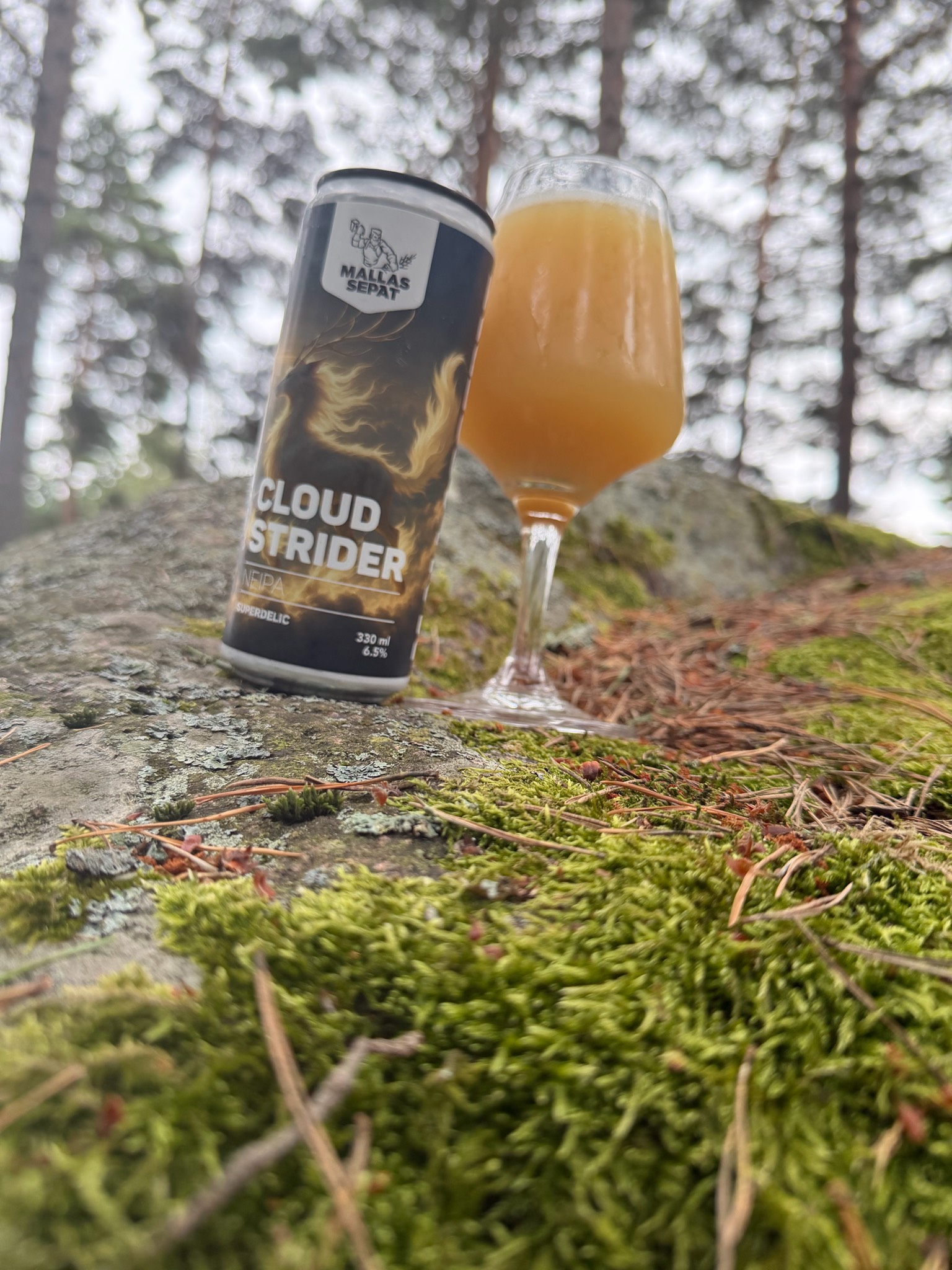 Cloud Strider, Mallassepät
