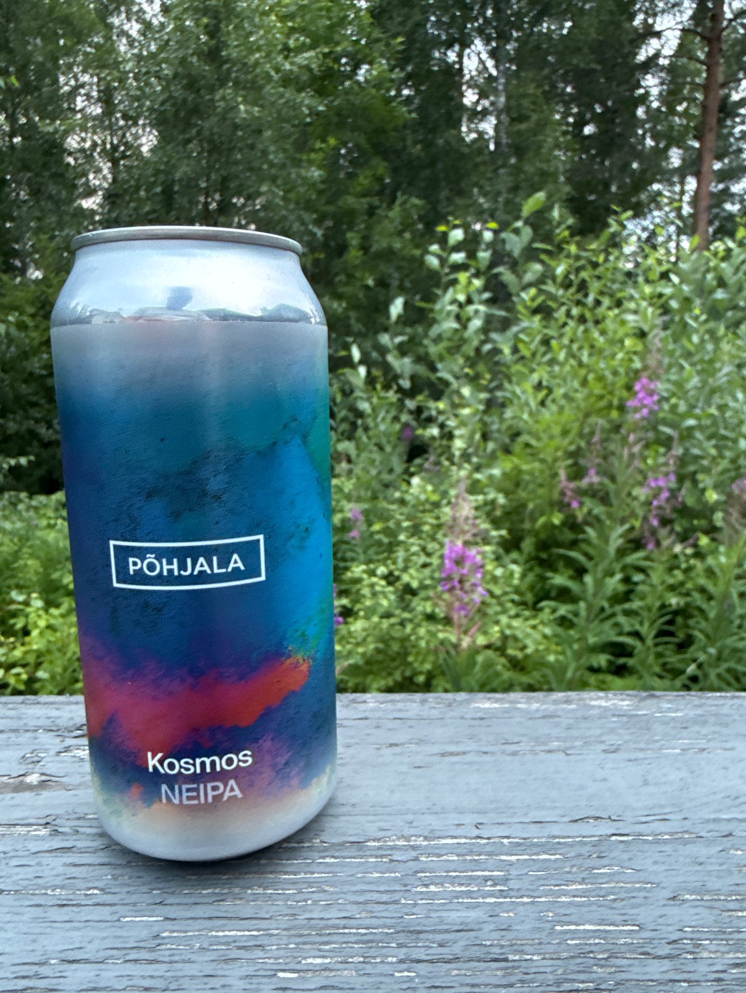 Kosmos, Estonia