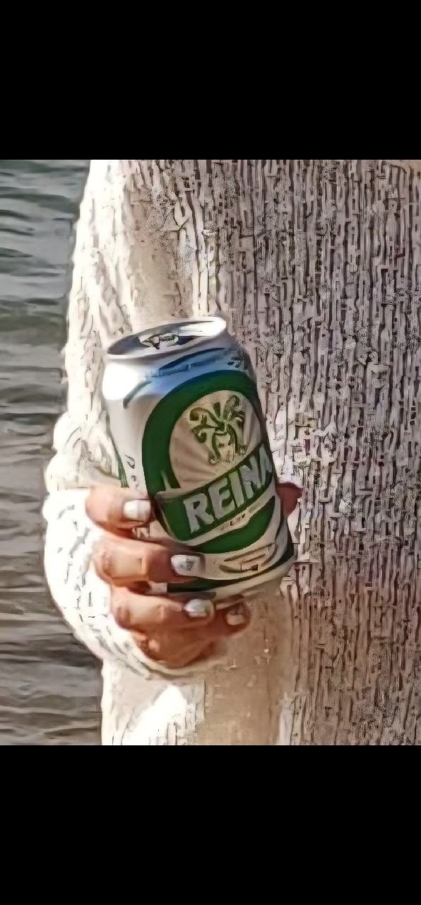 Reina, Cervezas Anaga (Grupo Mahou-San Miguel)