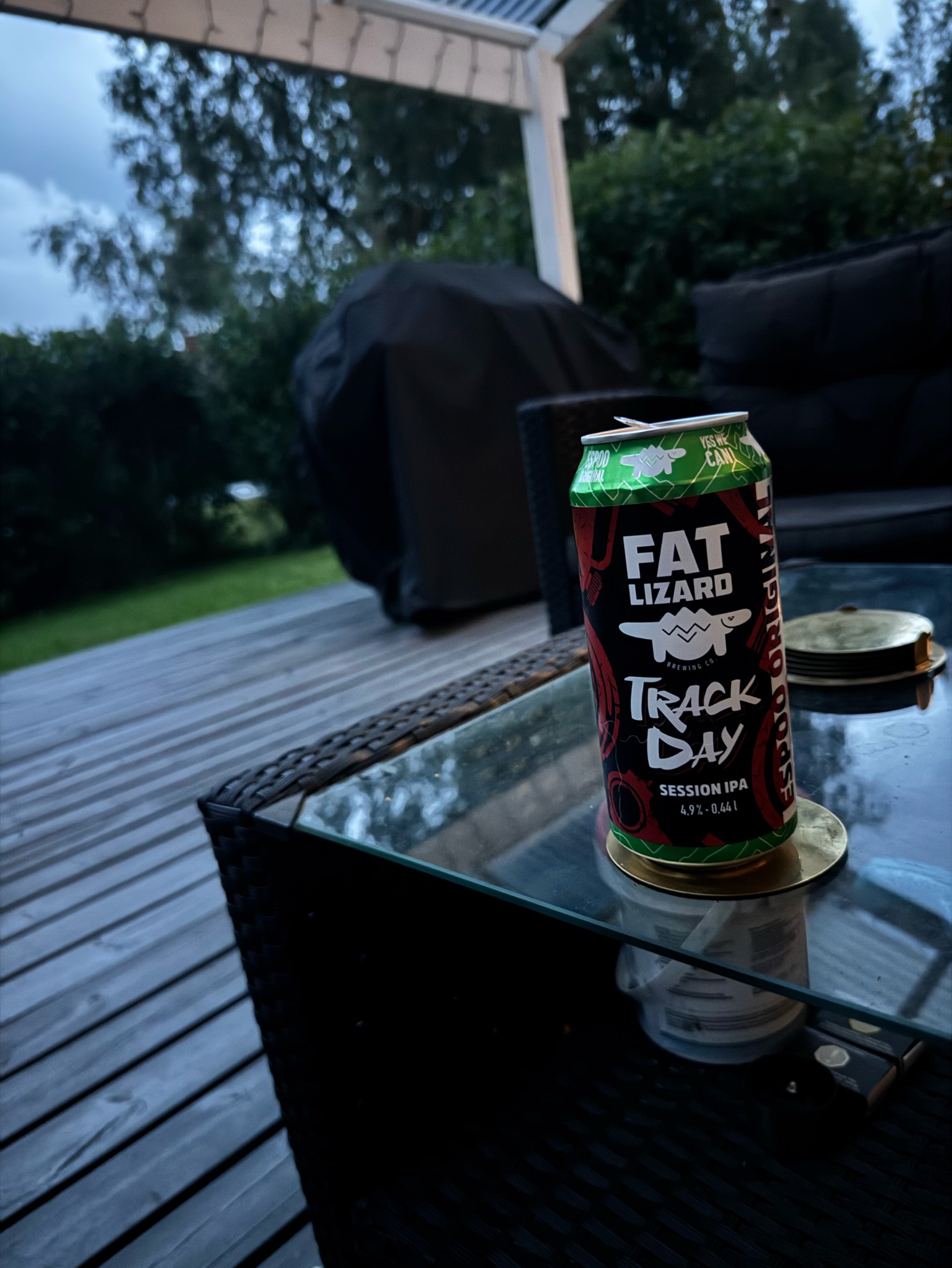 Track Day IPA, Fat Lizard Brewing Co.