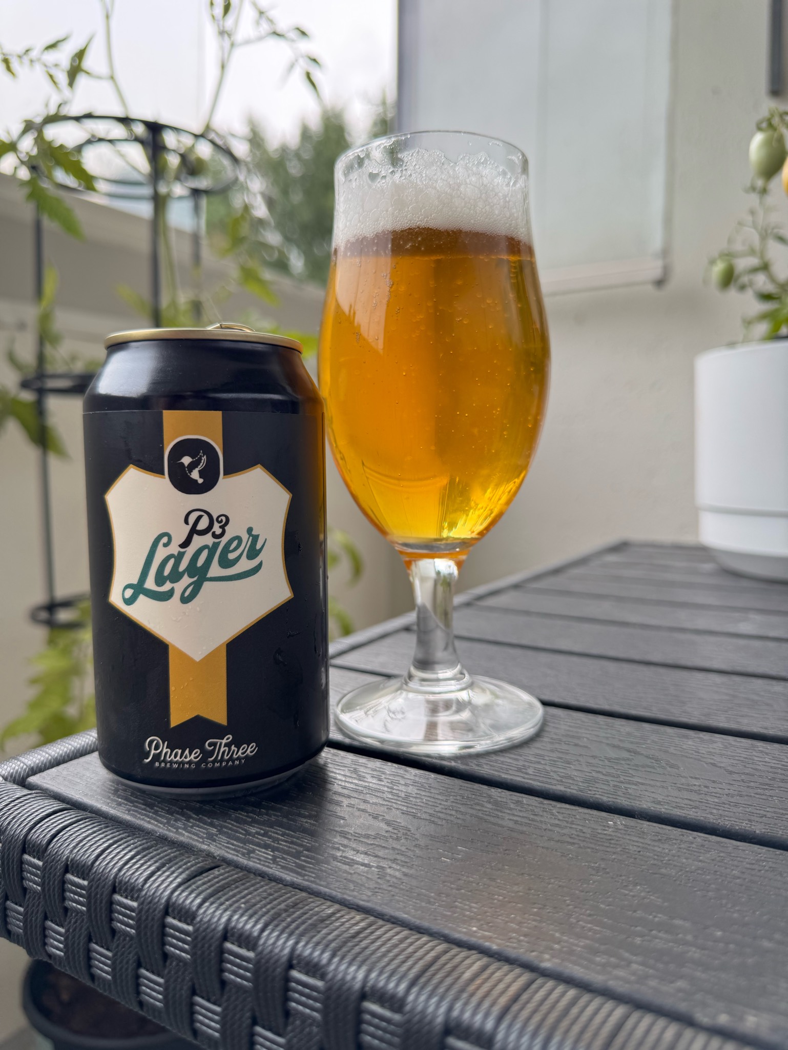 P3 Lager, Phase Three Brewing