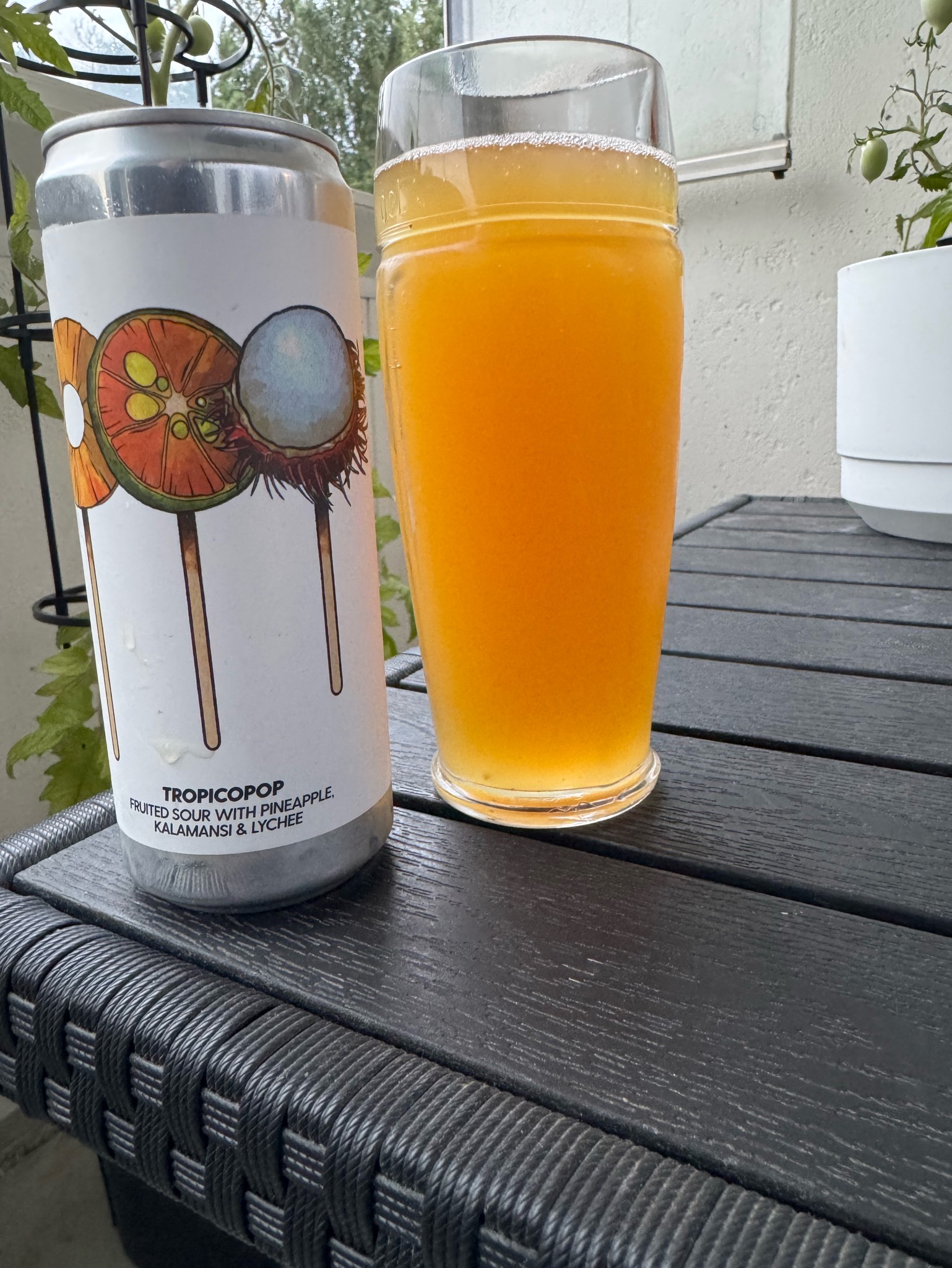 Tropicopop, Brewski