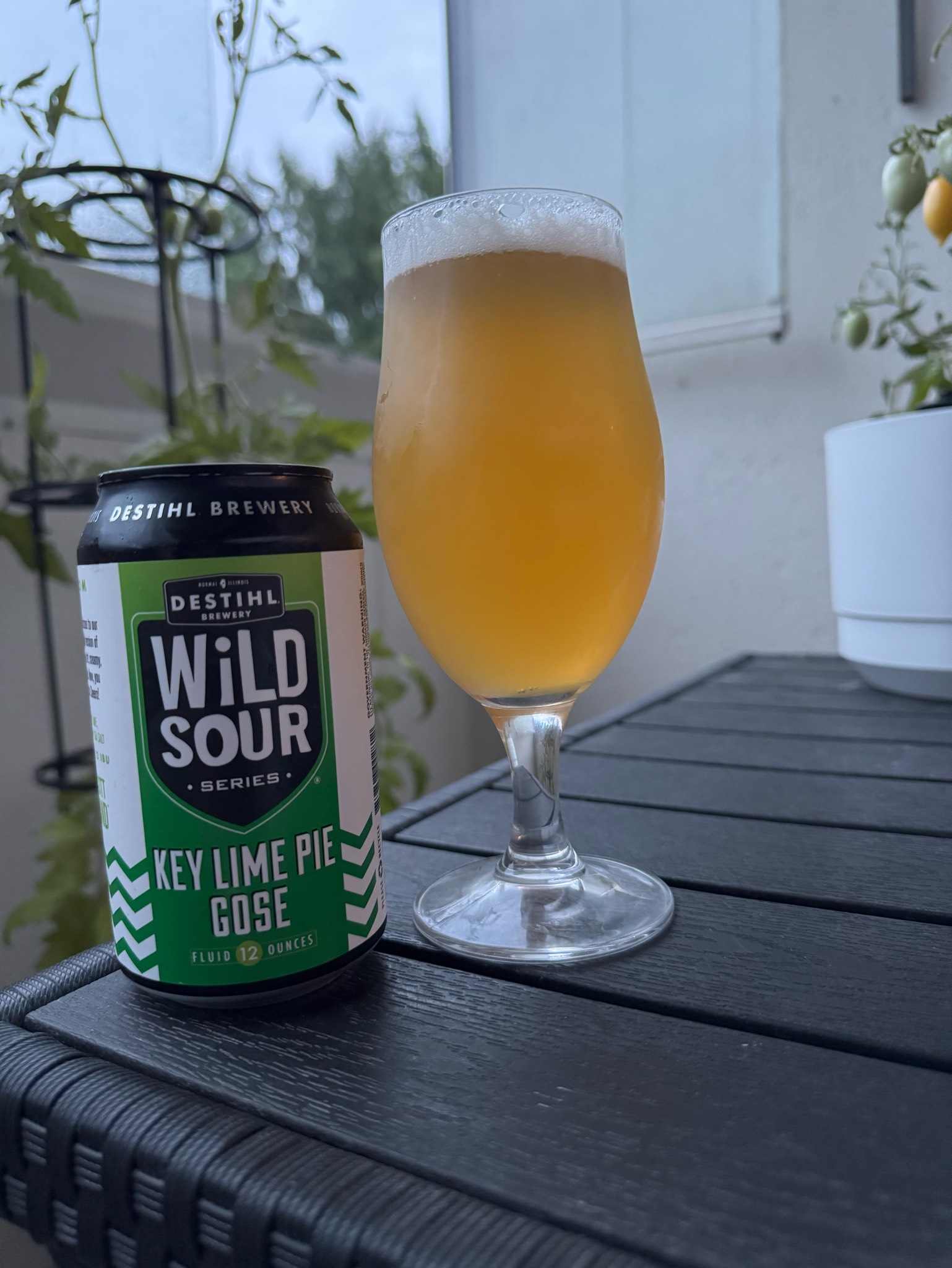 Wild sour series: key lime pie gose, United States