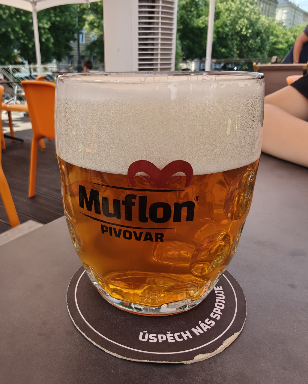 Muflon Polotmavy 12°, Pivovar Muflon