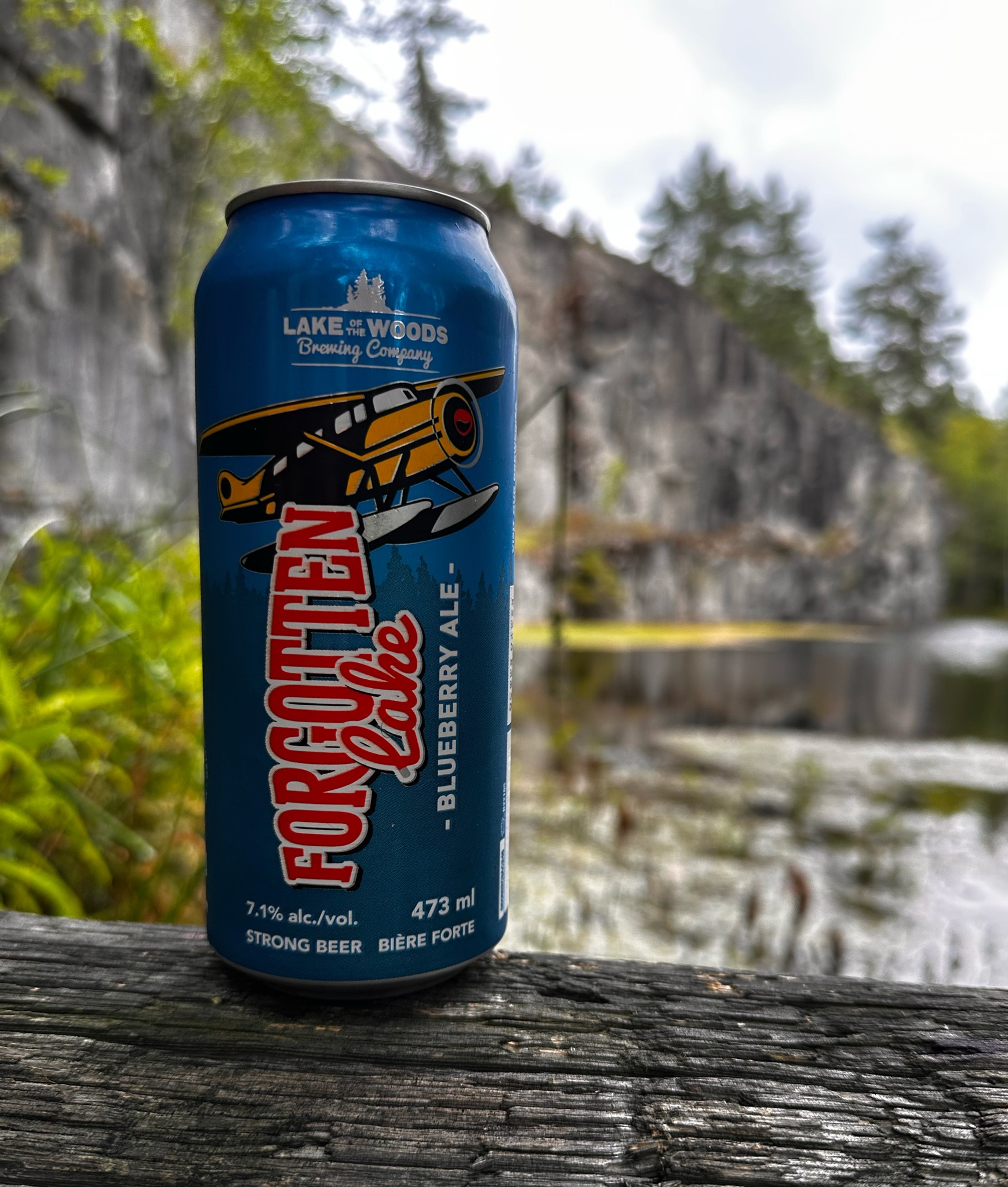 Forgotten Lake Blueberry Ale, Lake of the Woods Brewing Company