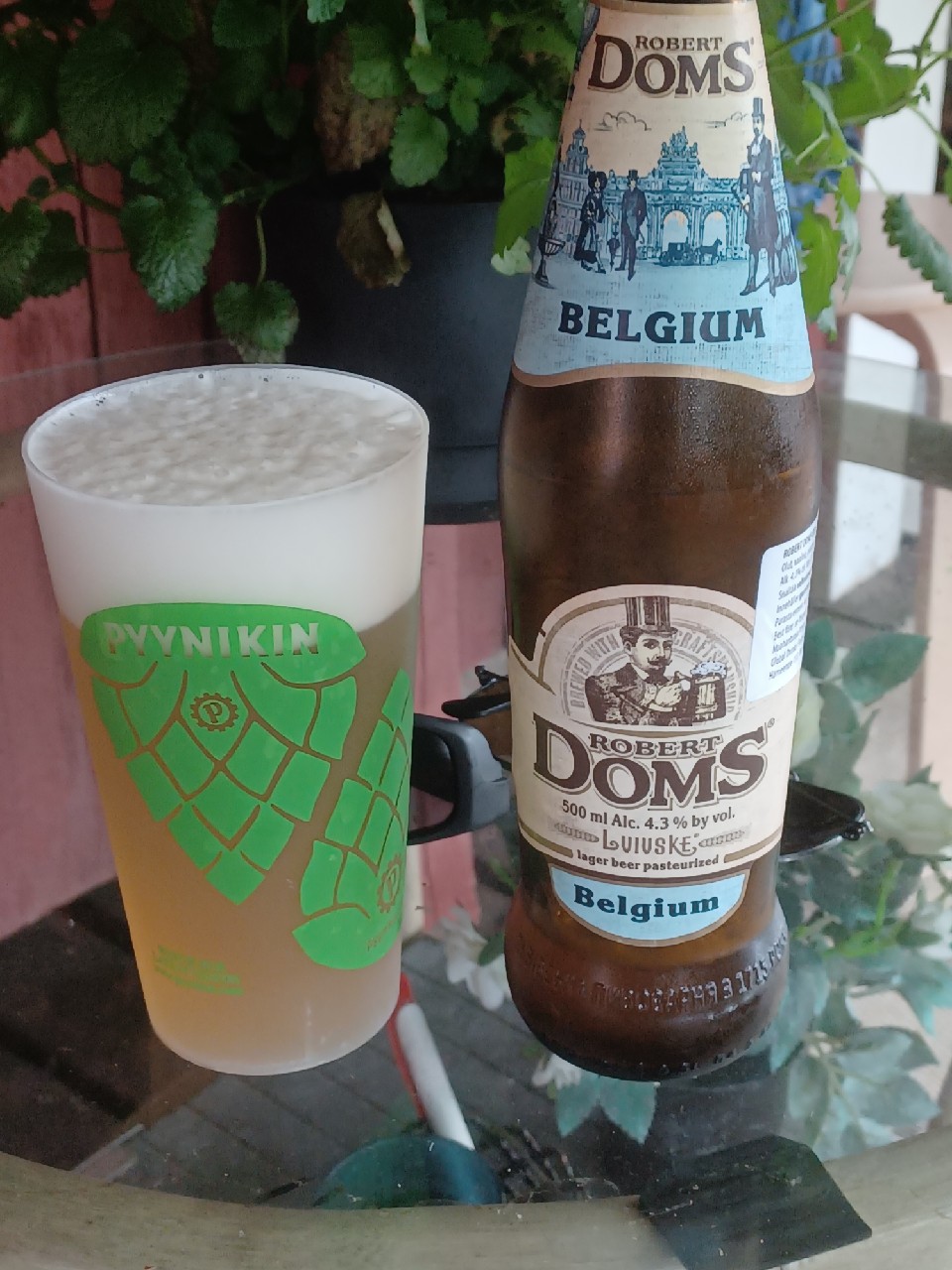 Lvisvske Robert Doms / Бельгійський, Ukraine
