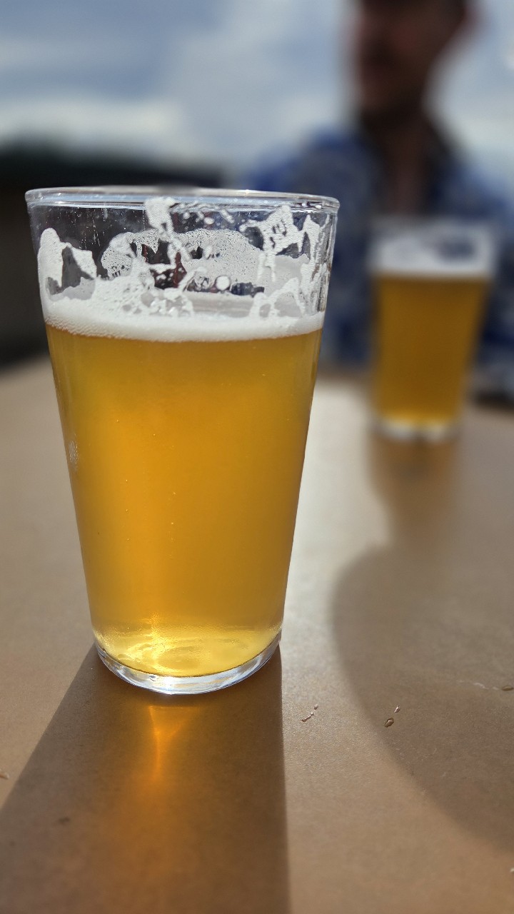 Arctic Pale Ale 5.5%, Finland