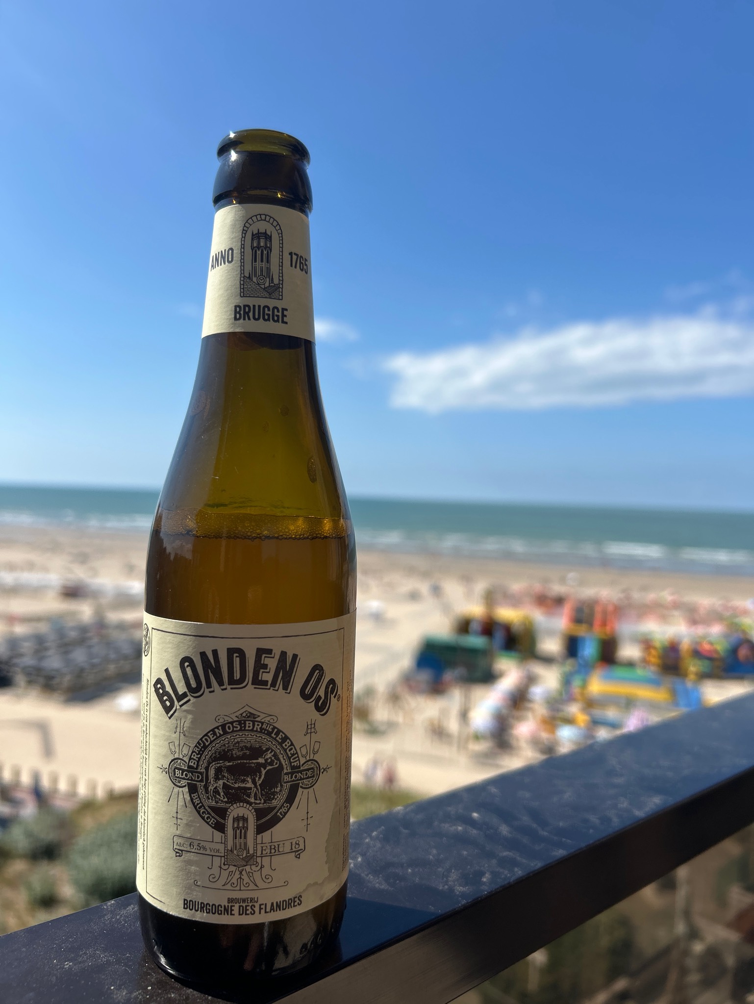 Blonden Os, Belgium