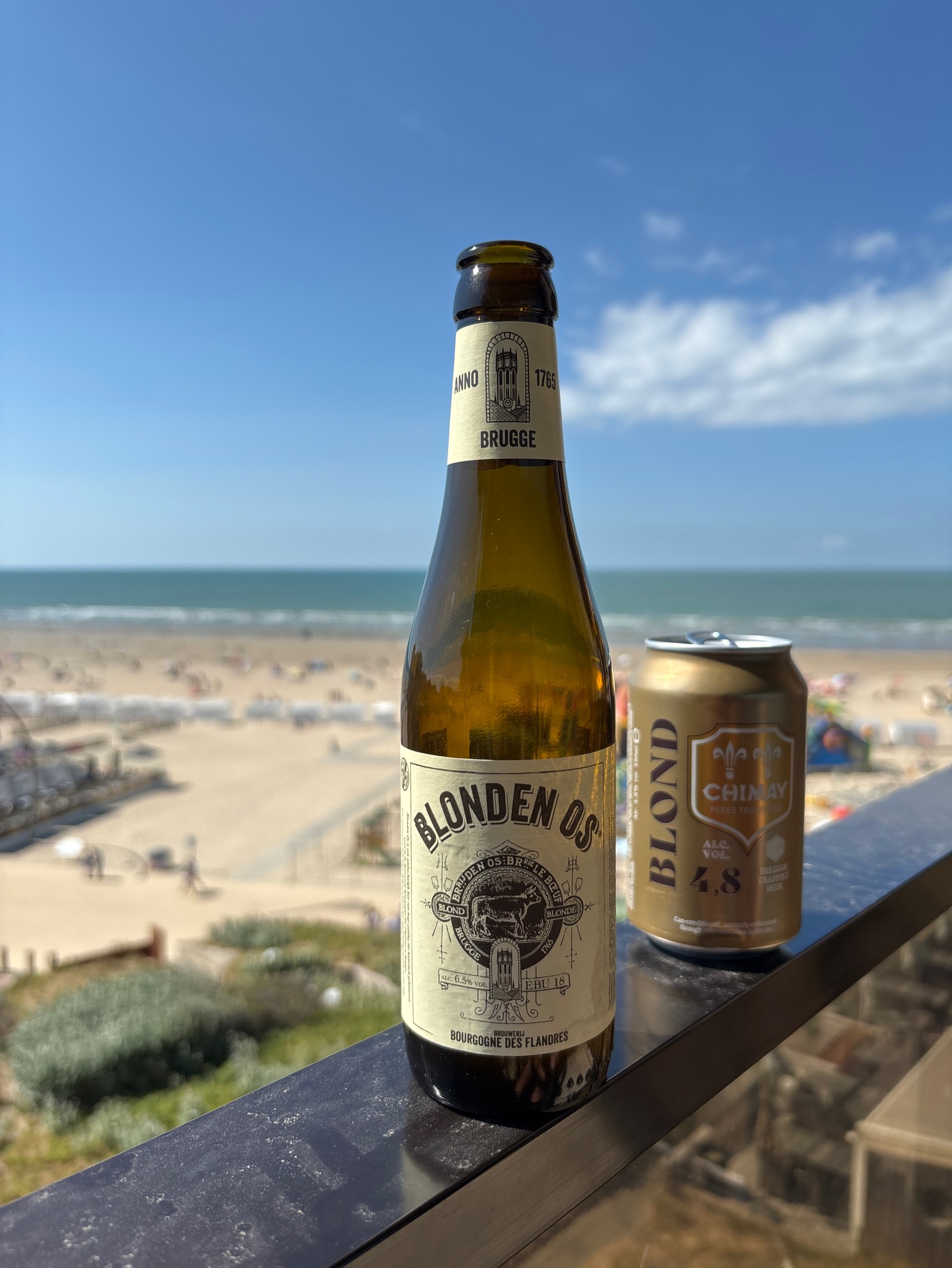 Blonden Os, Belgium