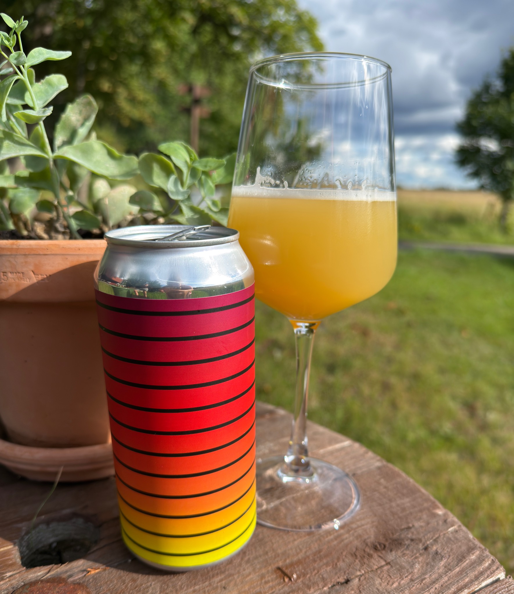 Here Comes The Sun, AKiA Brygghus