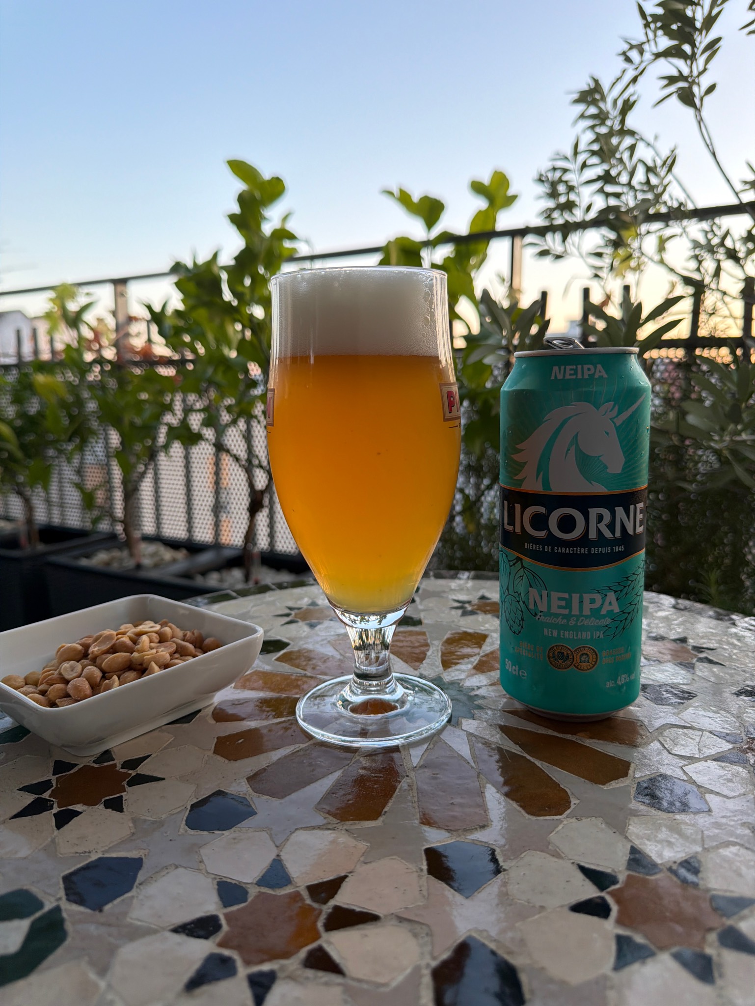 NEIPA, France