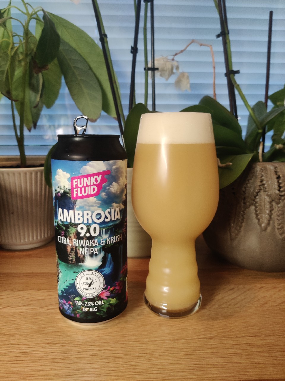 Ambrosia 9.0, Poland