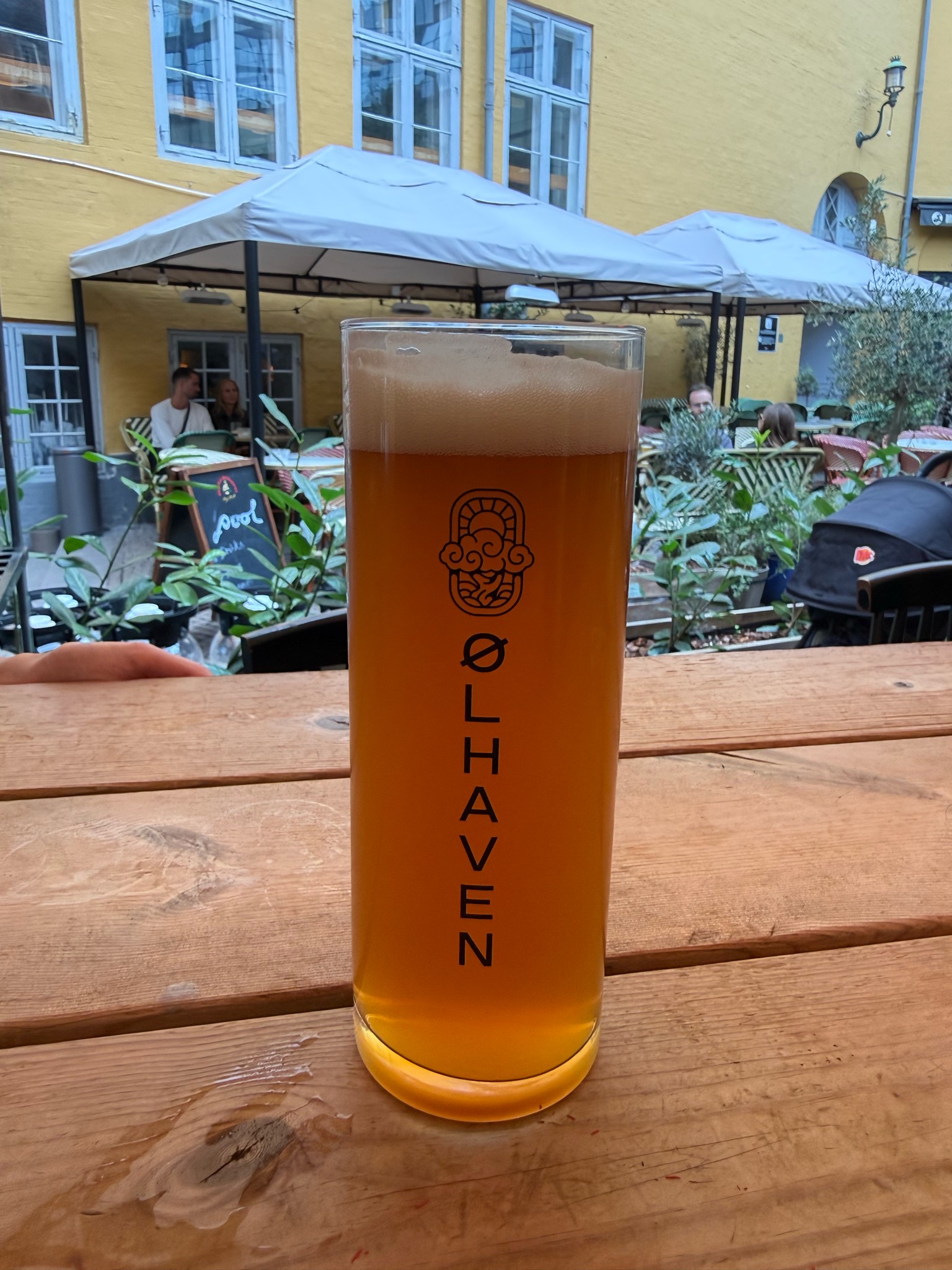 Modern Pale, Denmark