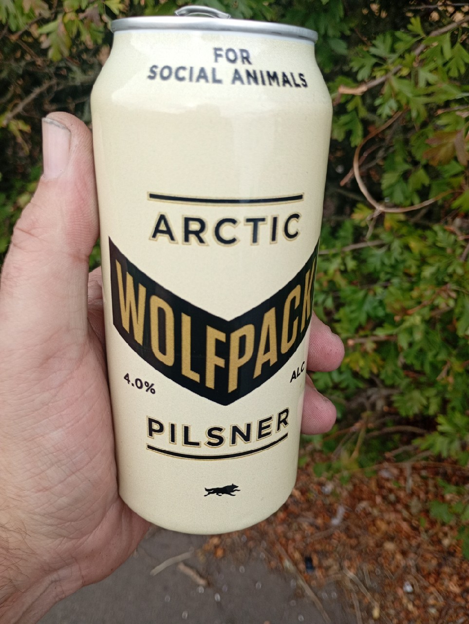 Arctic Pilsner, Wolfpack