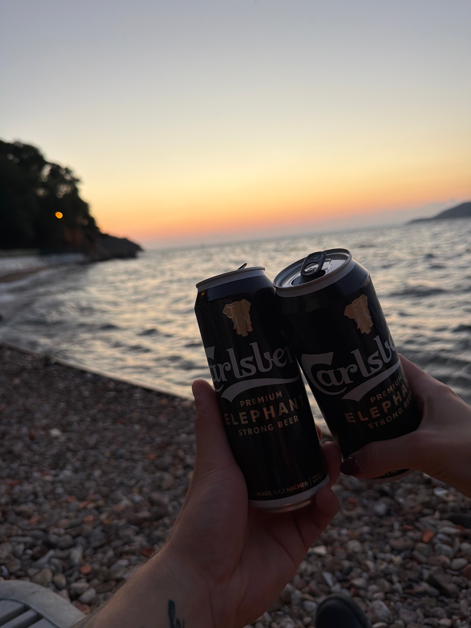 Carlsberg Elephant Strong Neer, Carlsberg Deutschland