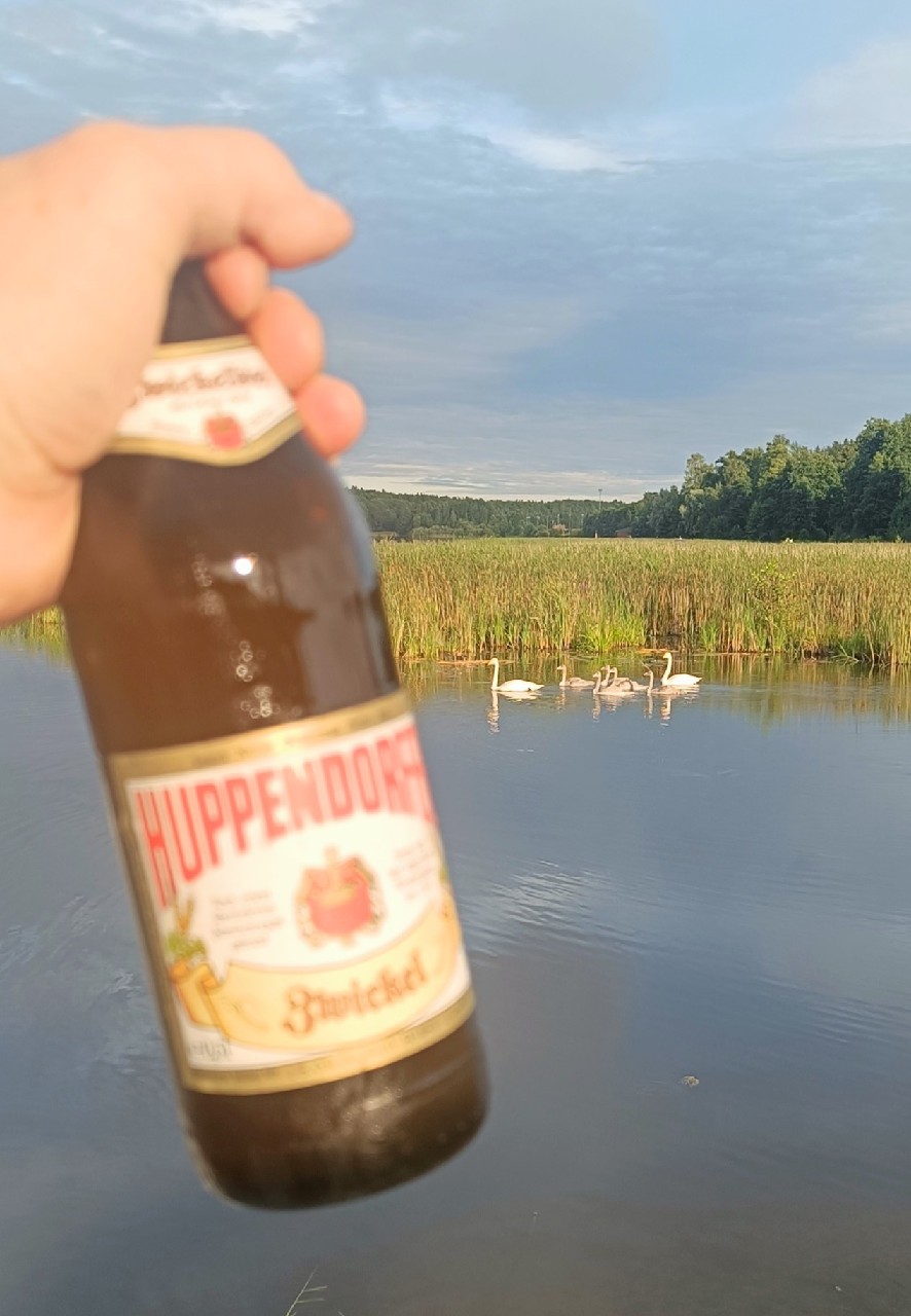 Huppendorfer Zwickel, Brauerei Grasser