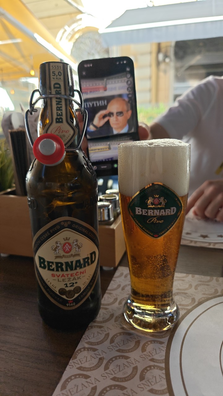 Bernard Bohemian Lager / Světlý Ležák 12°, Czech Republic