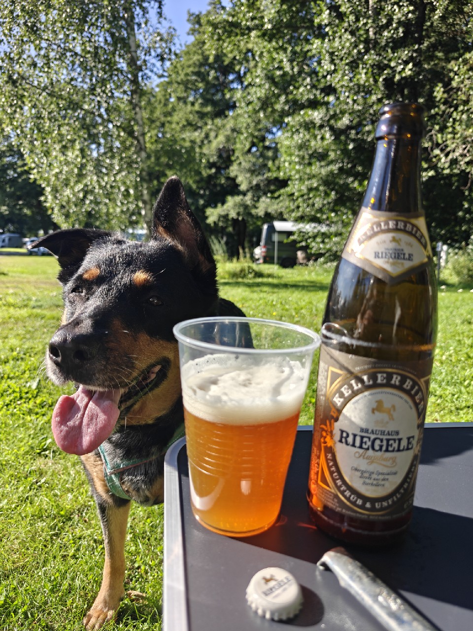 Riegele Kellerbier, Germany