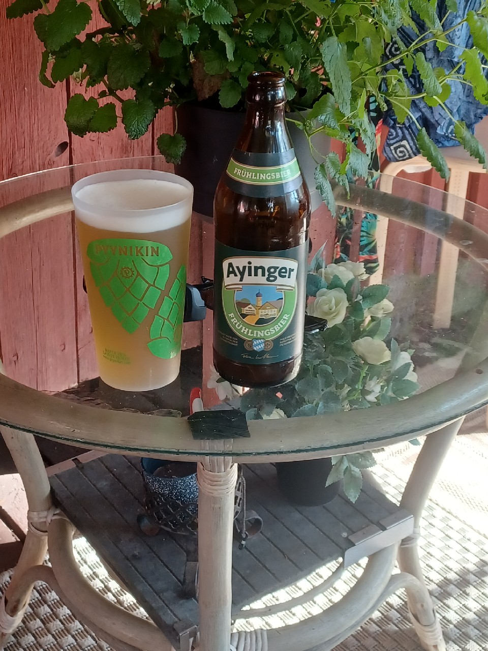 Ayinger Frühlingsbier, Germany