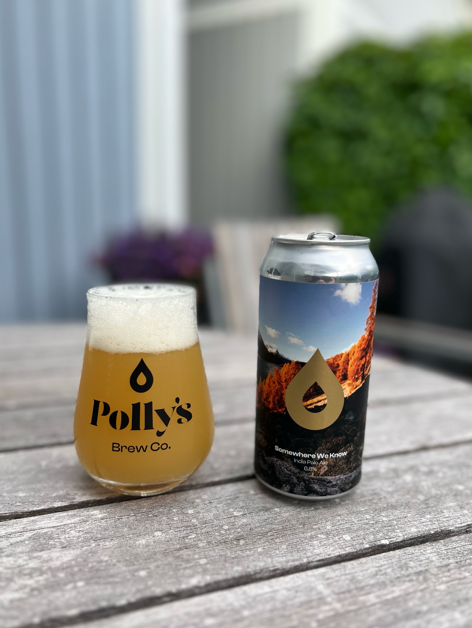Somewhere We Know, Polly's Brew Co.