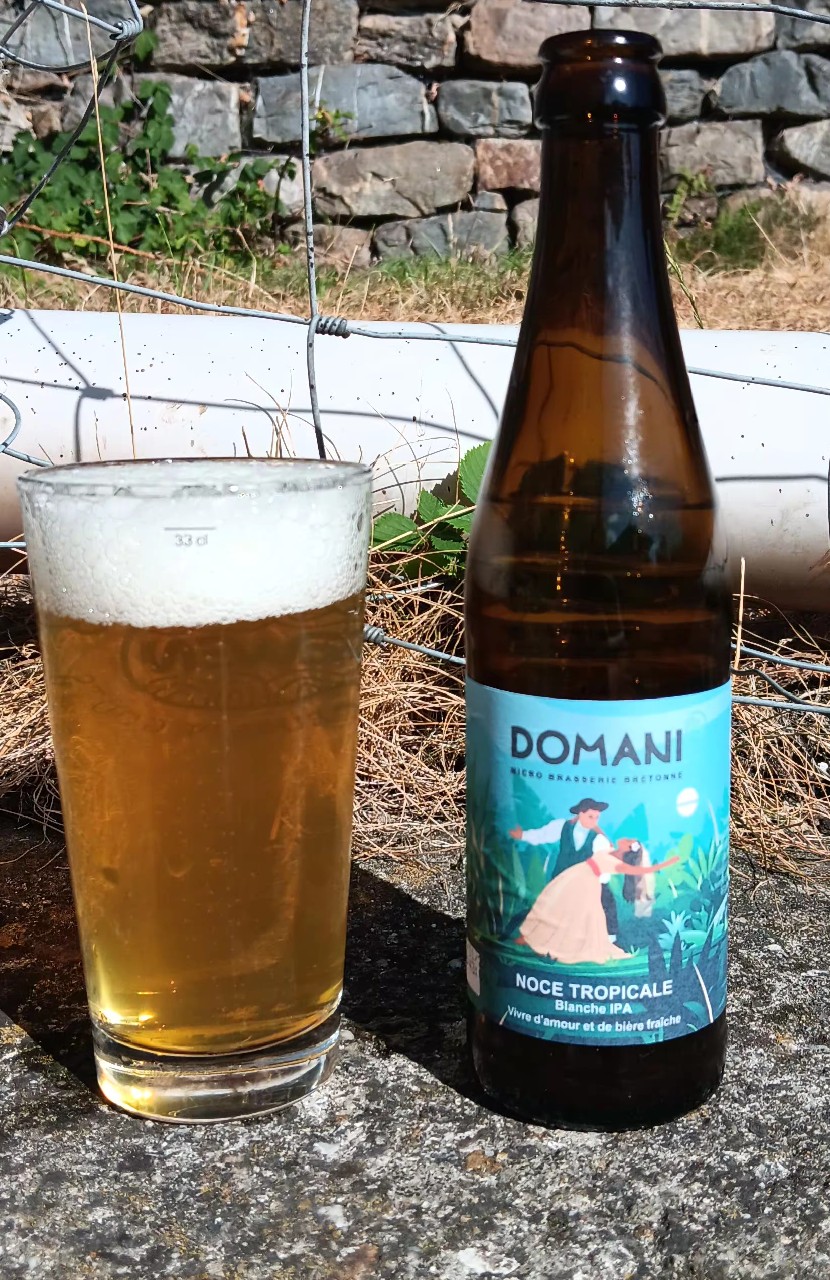 Session Bière IPA, France