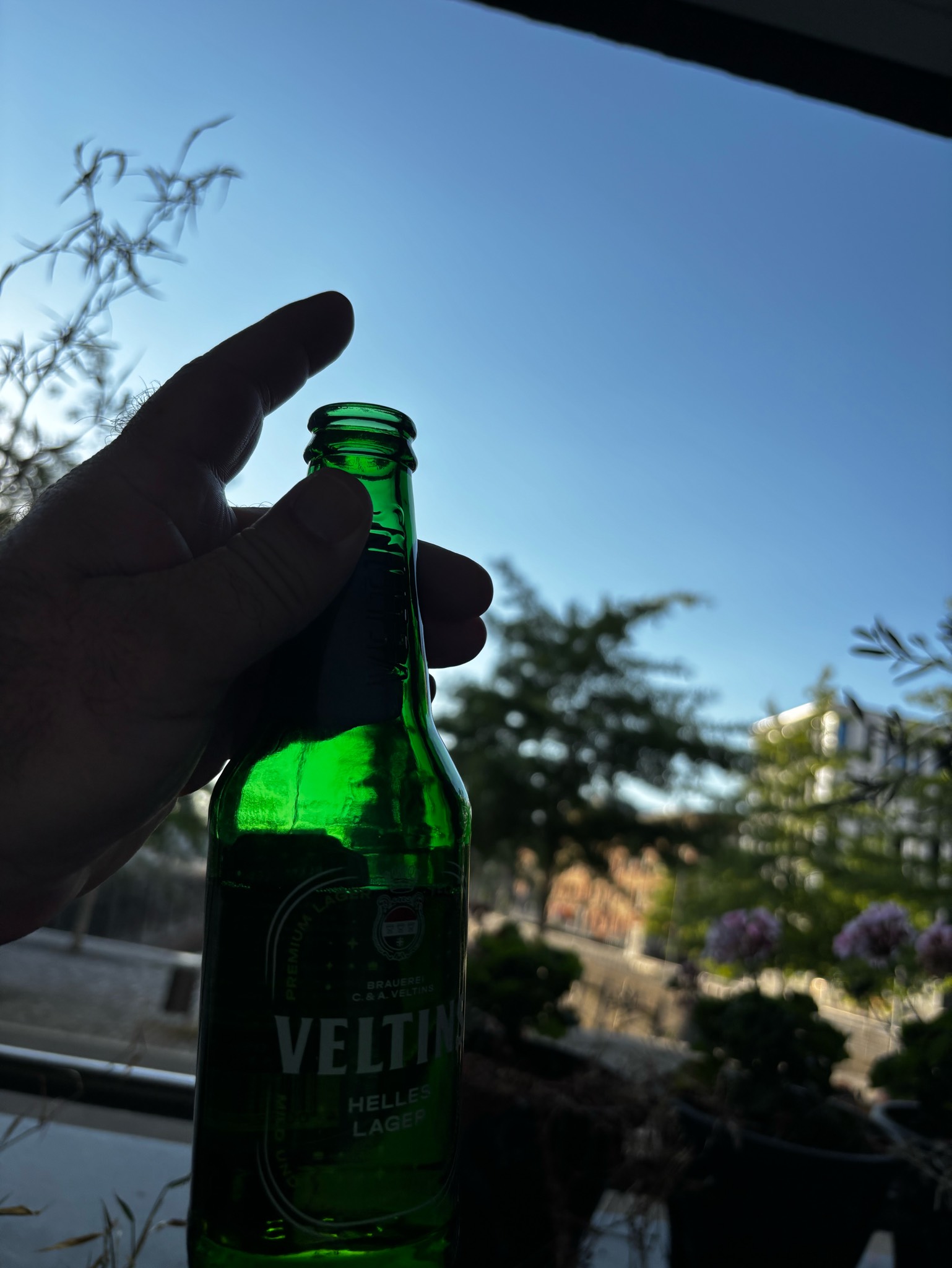 Veltins Helles Lager, Germany