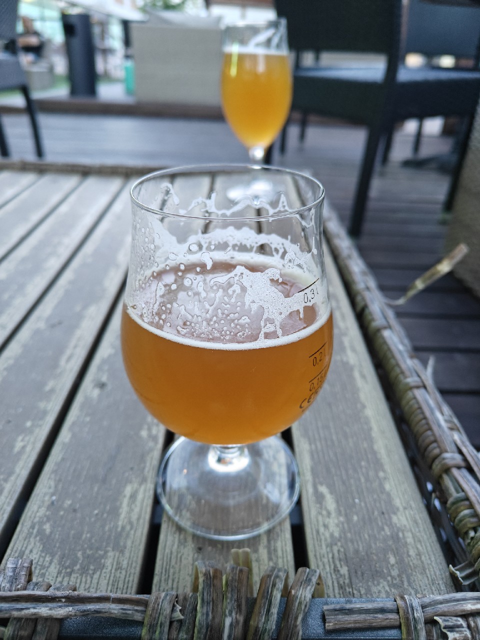 Gyllenborg, Finland