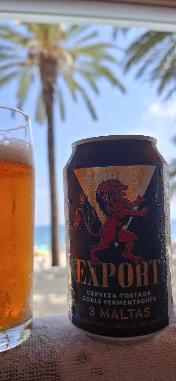 Ambar Export, La Zaragozana