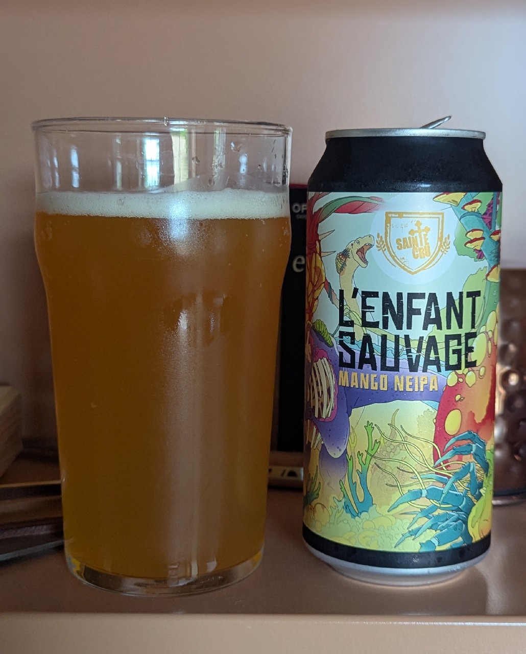 l'enfant sauvage mango neipa, France