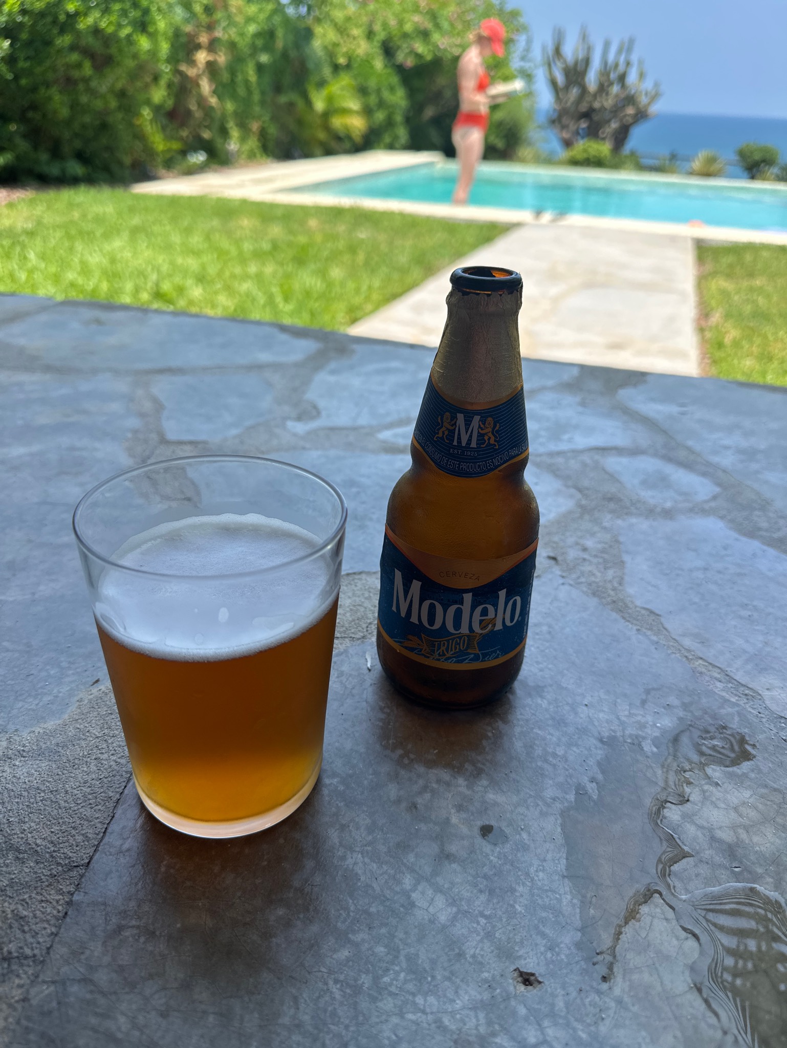 Modelo Trigo, Mexico