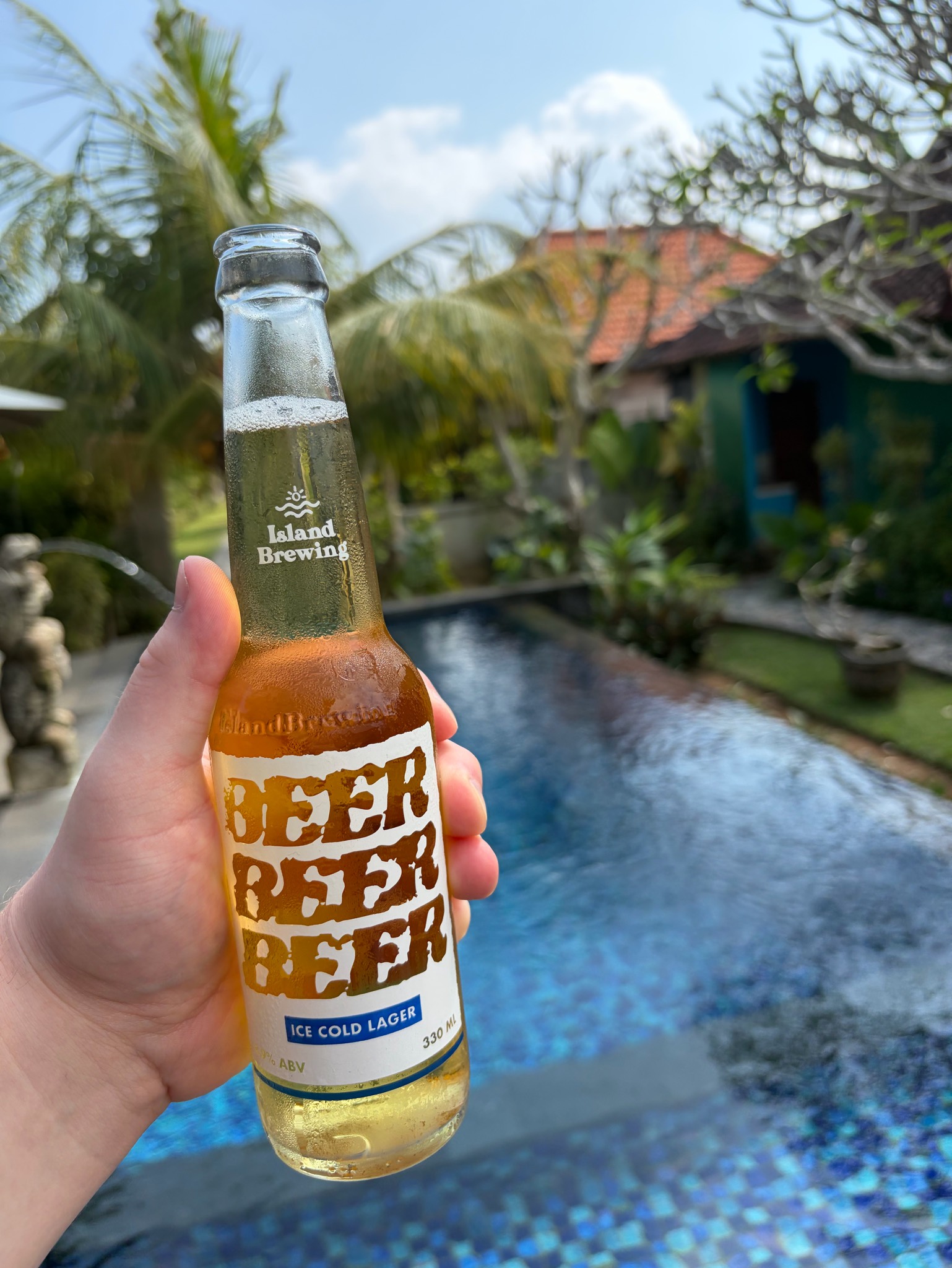 Ice Cold Lager, Island Brewing