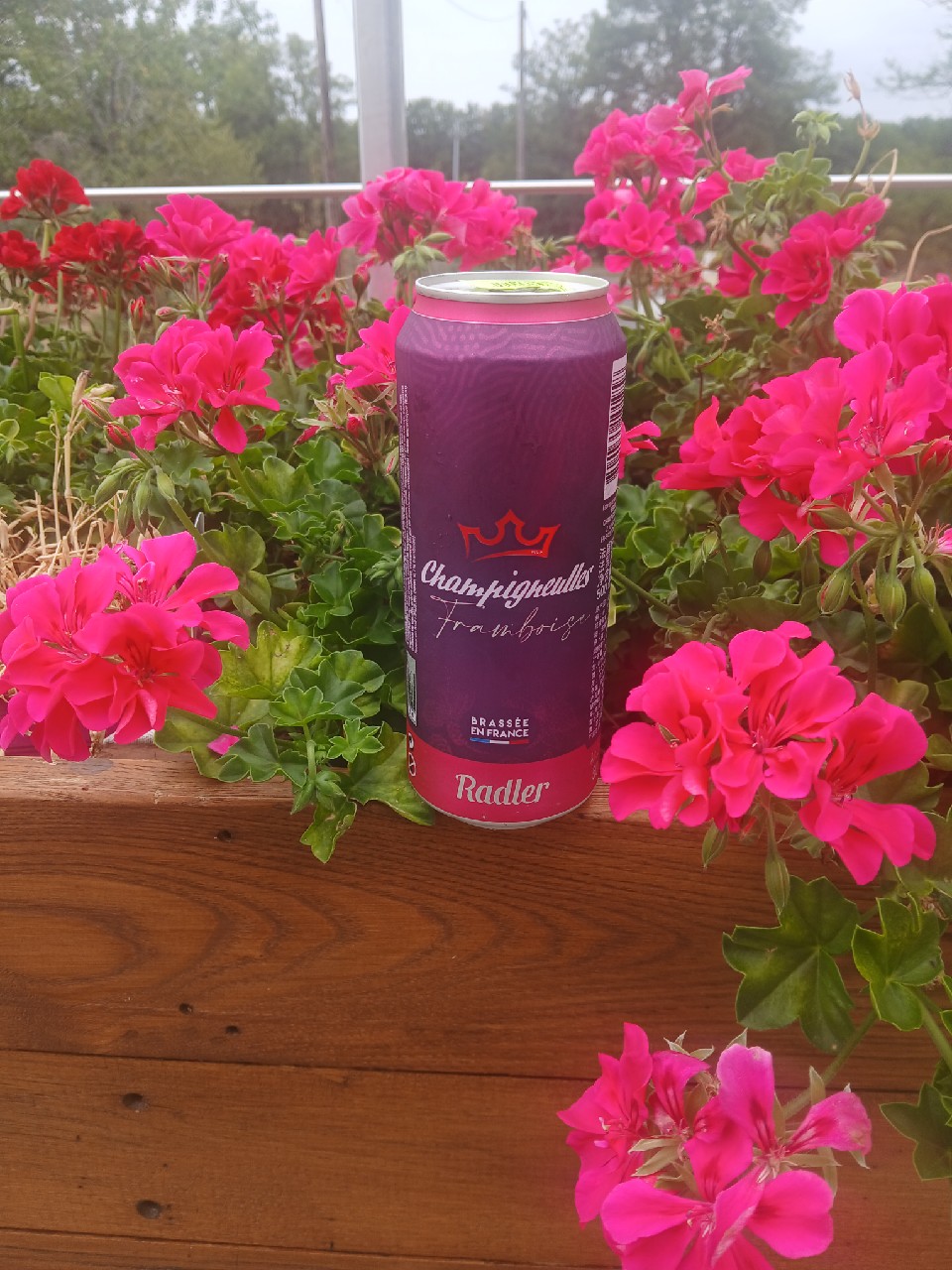 Radler Framboise, France