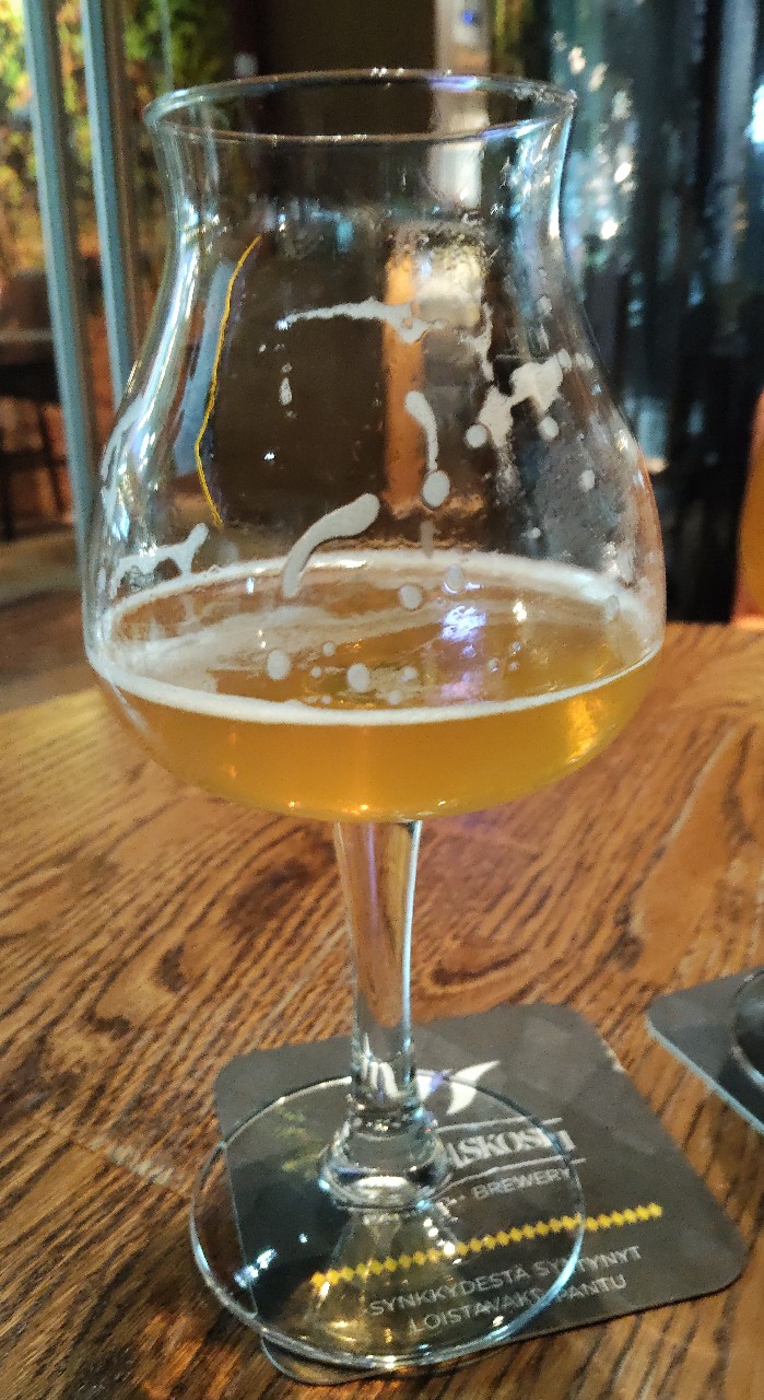 Bryggeri IPA 5.5%, Finland