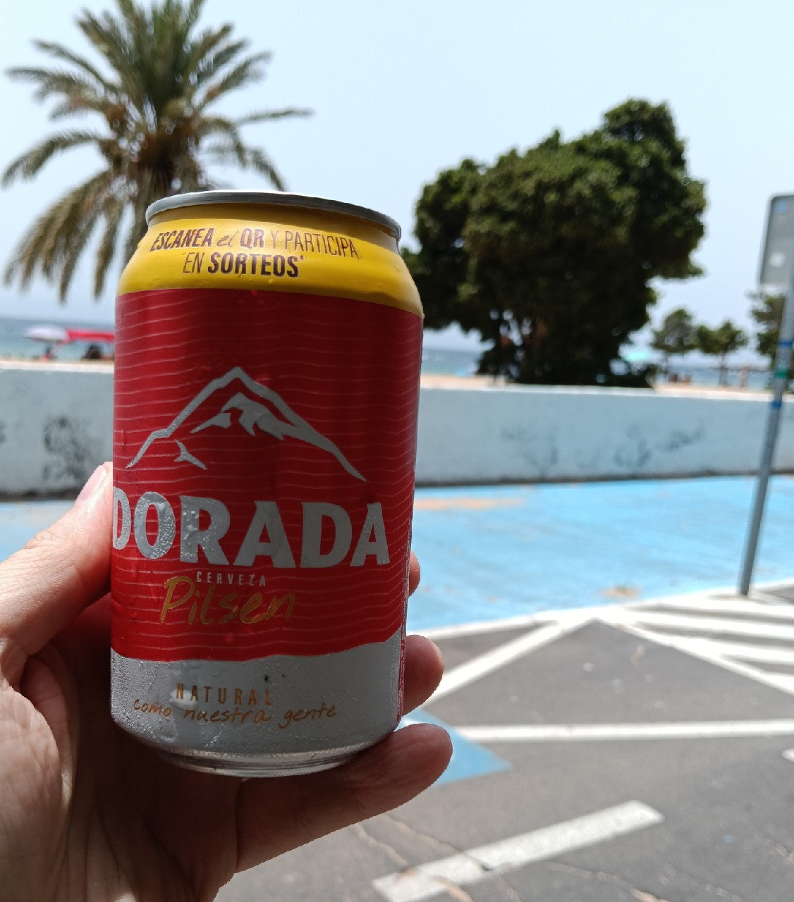 Dorada Pilsen, Spain