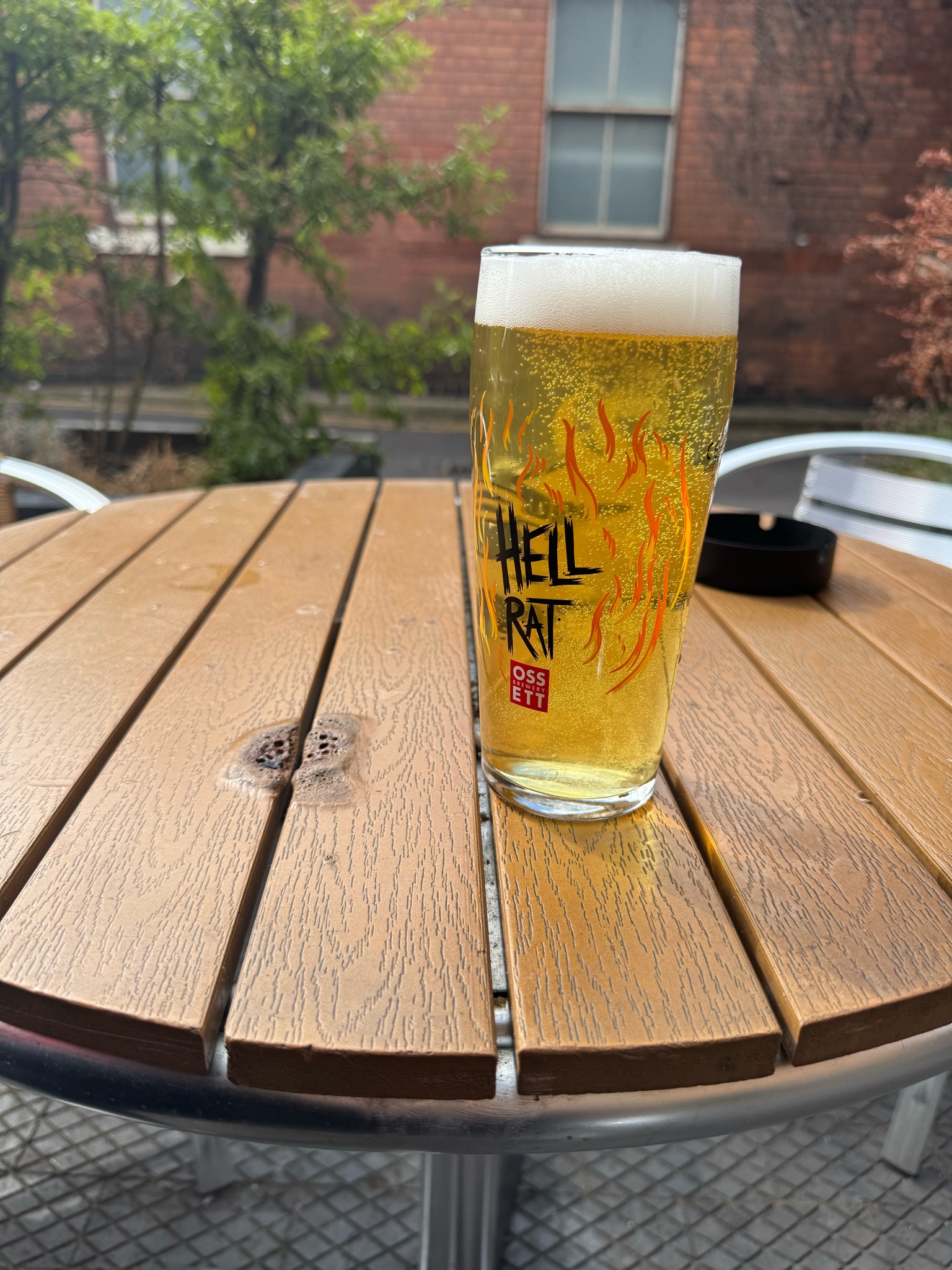 hell rat, England