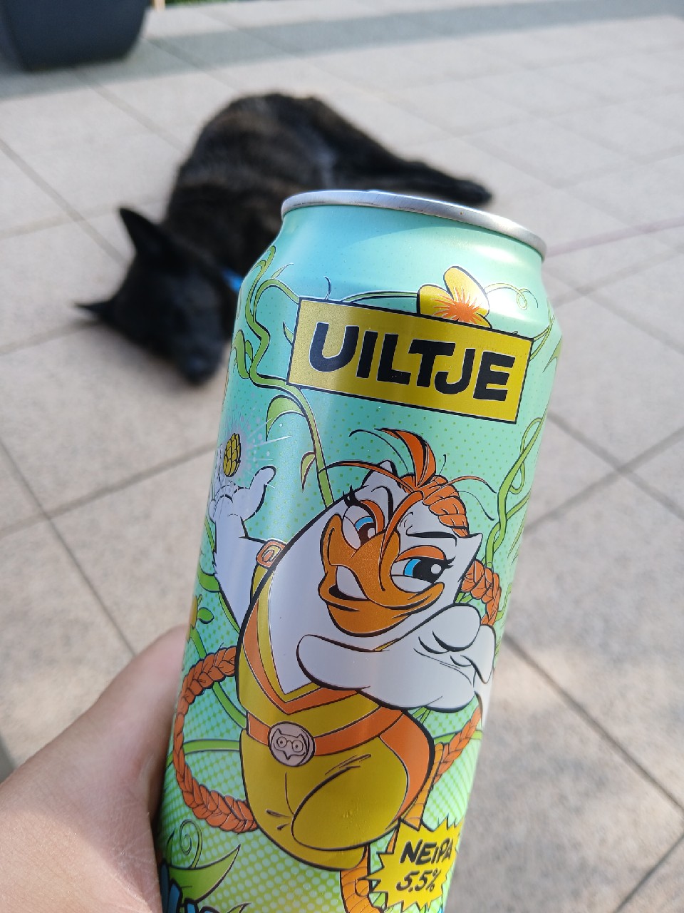 Juicy Lucy, Netherlands