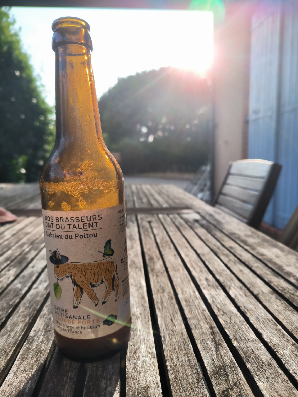 Gabriau Du Poitou Blonde, France