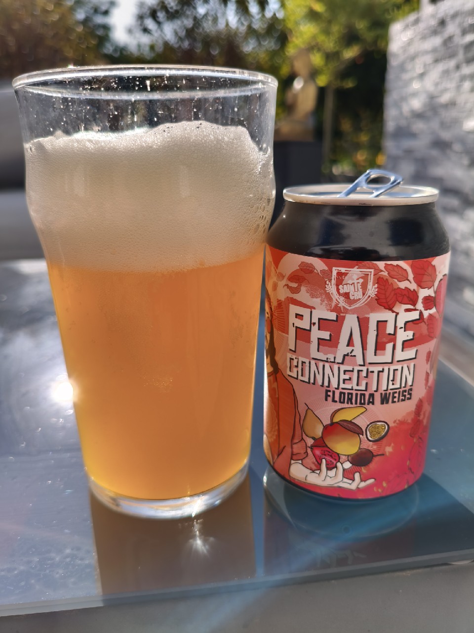 Peace Connection, France