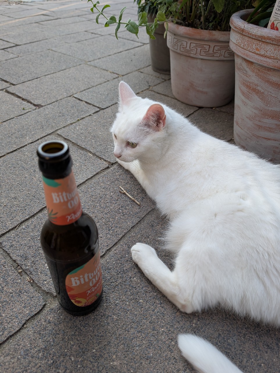 Bitburger 0,0% Peach, Germany