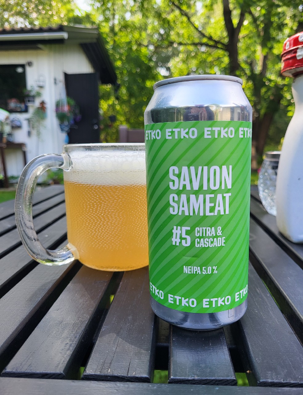 Savion Sameat #5, Finland