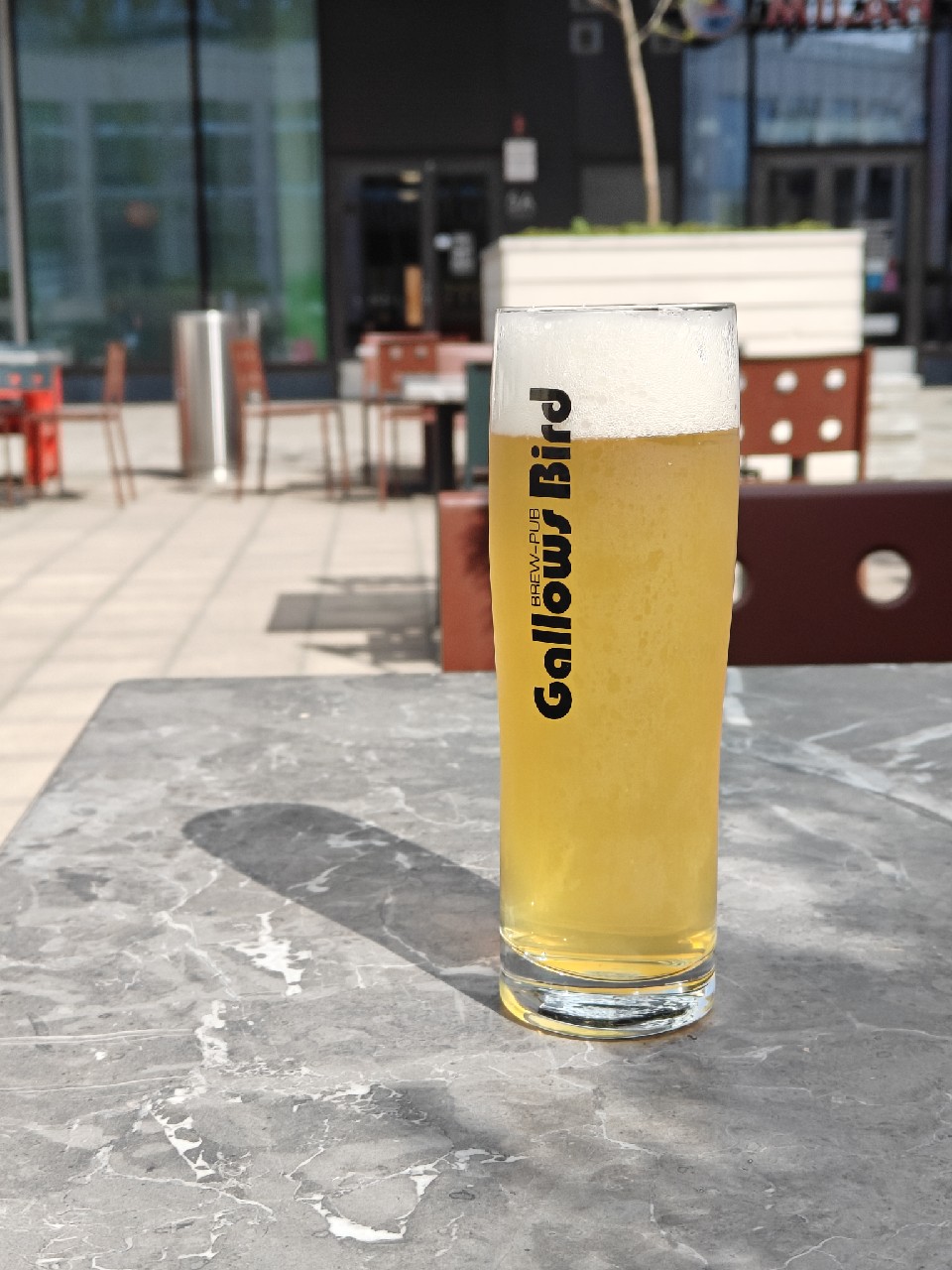 karvaton koira, Brew-Pub Gallows Bird