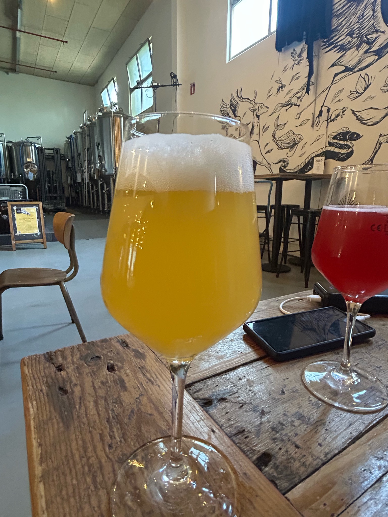 Rainette, Belgium