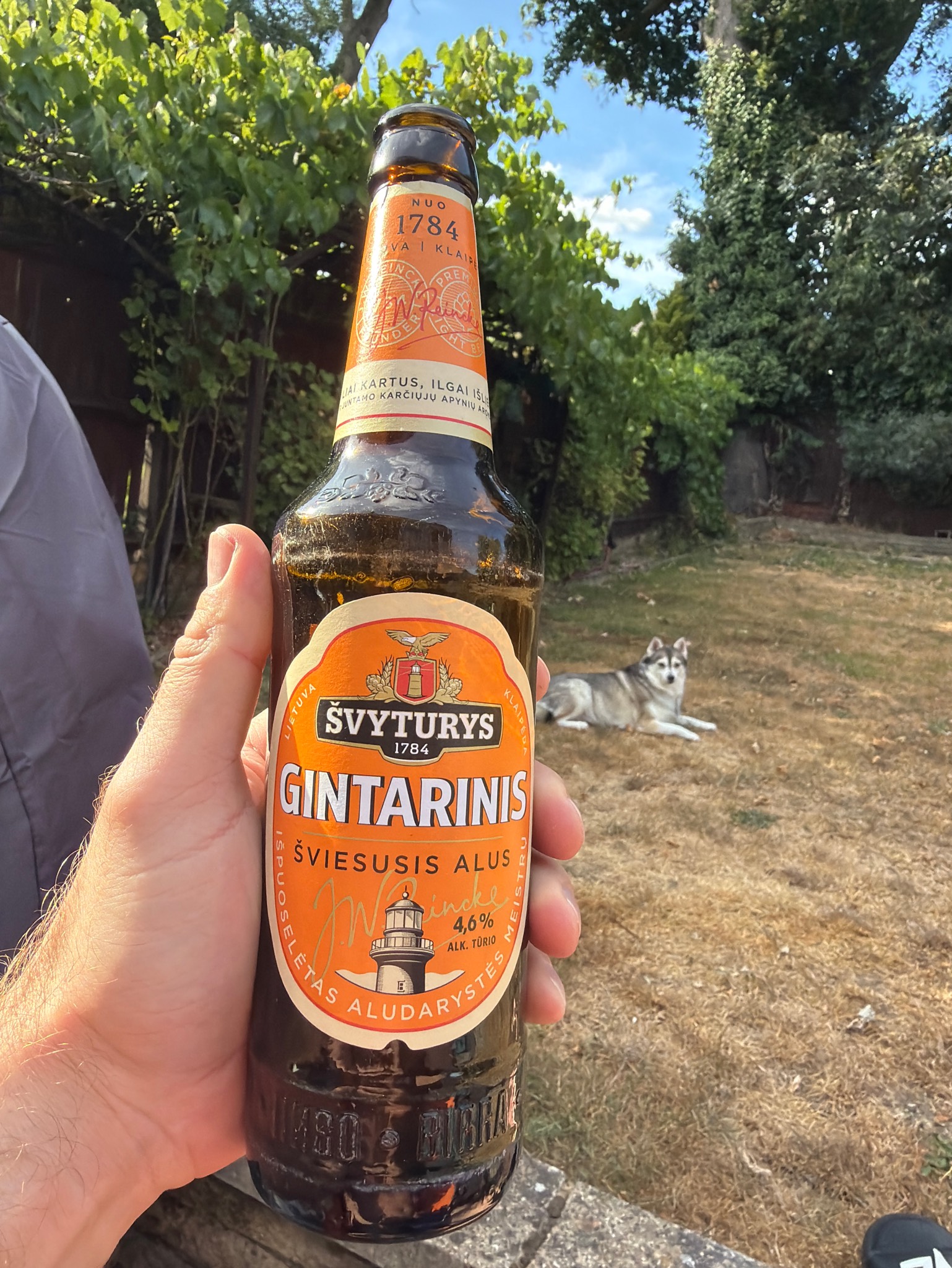 Gintarinis Šviesusis Alus, Švyturys (Carlsberg)
