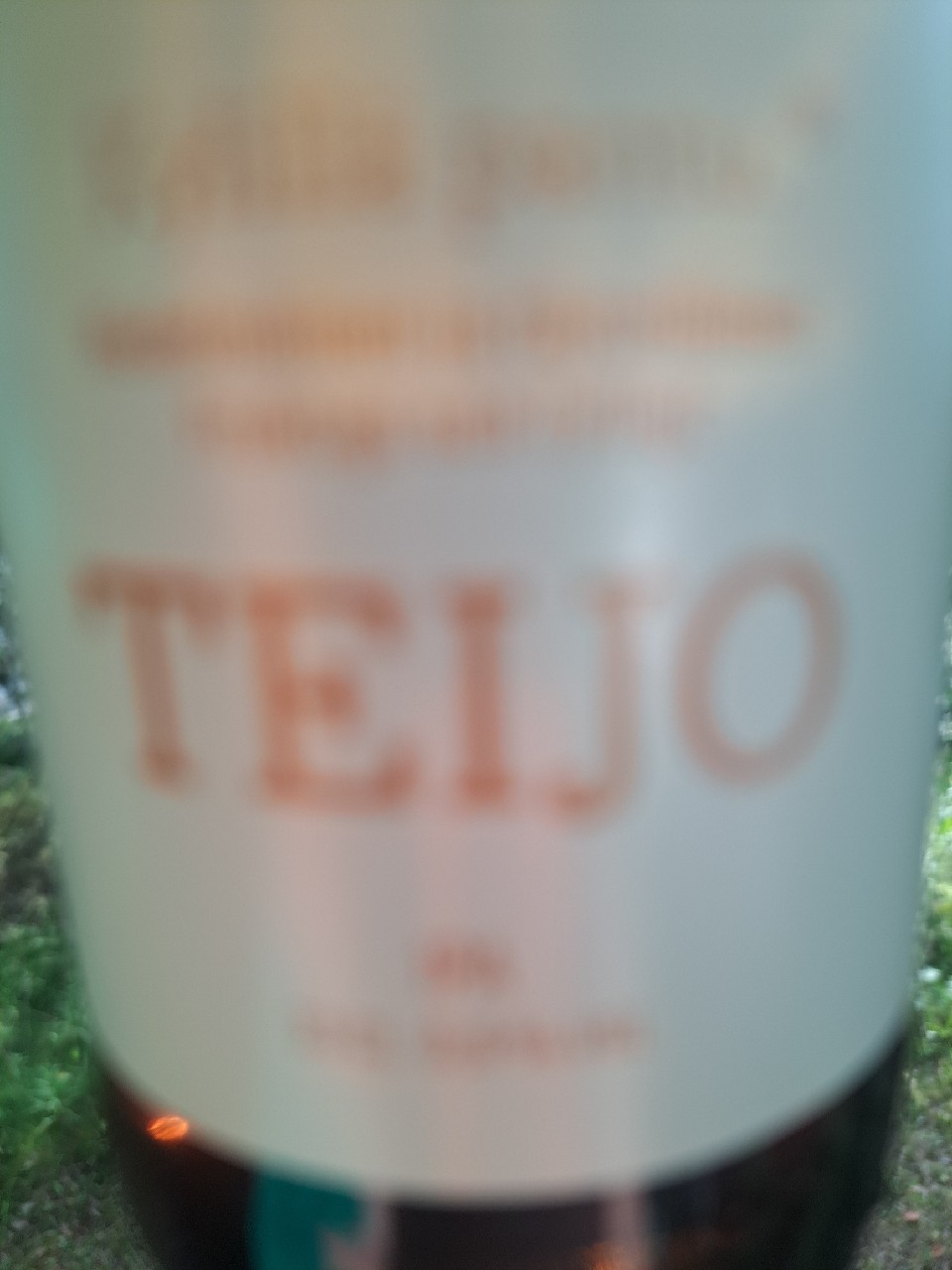 Teijo, Finland