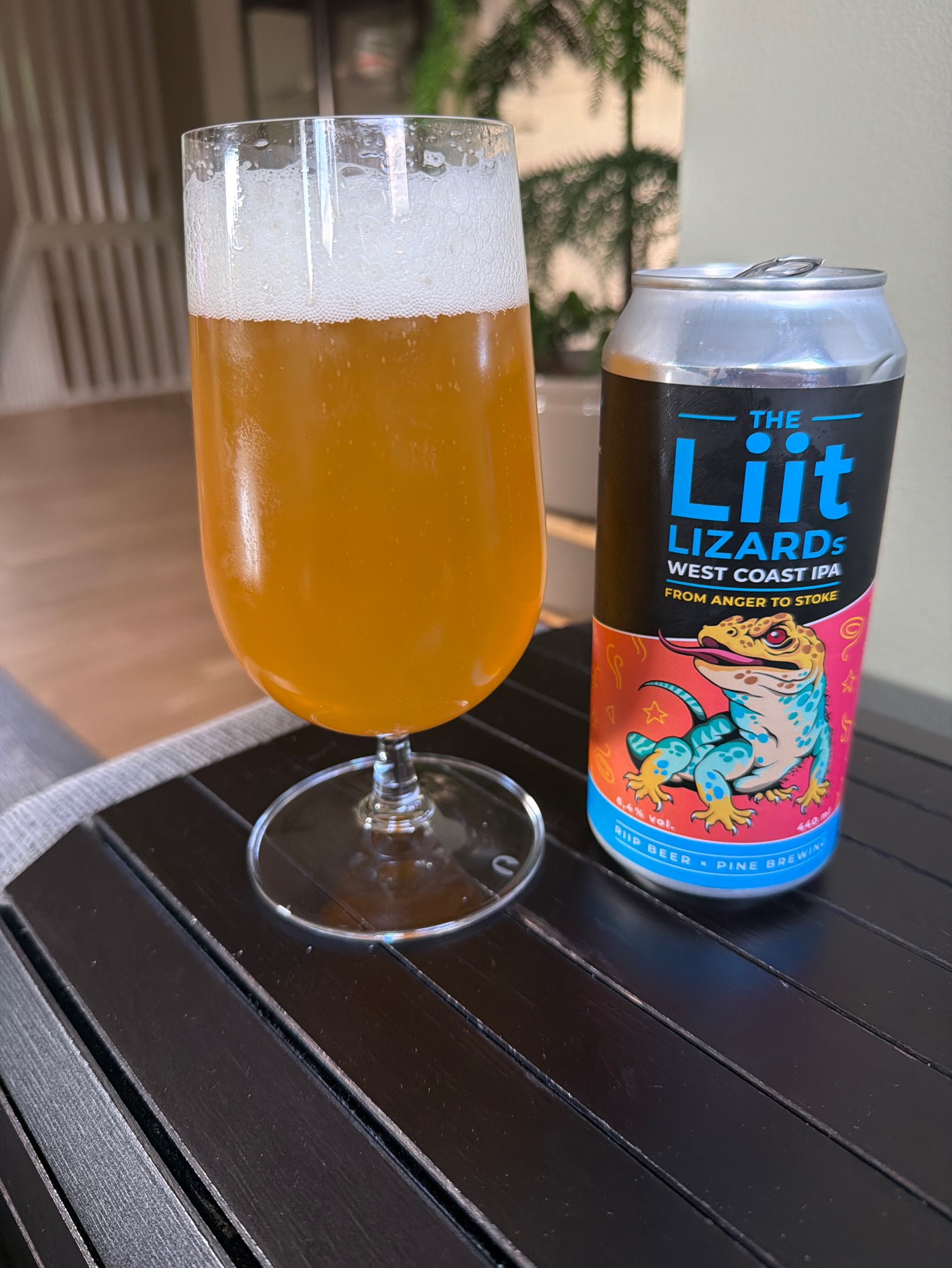 The liit lizards, Riip Beer Company